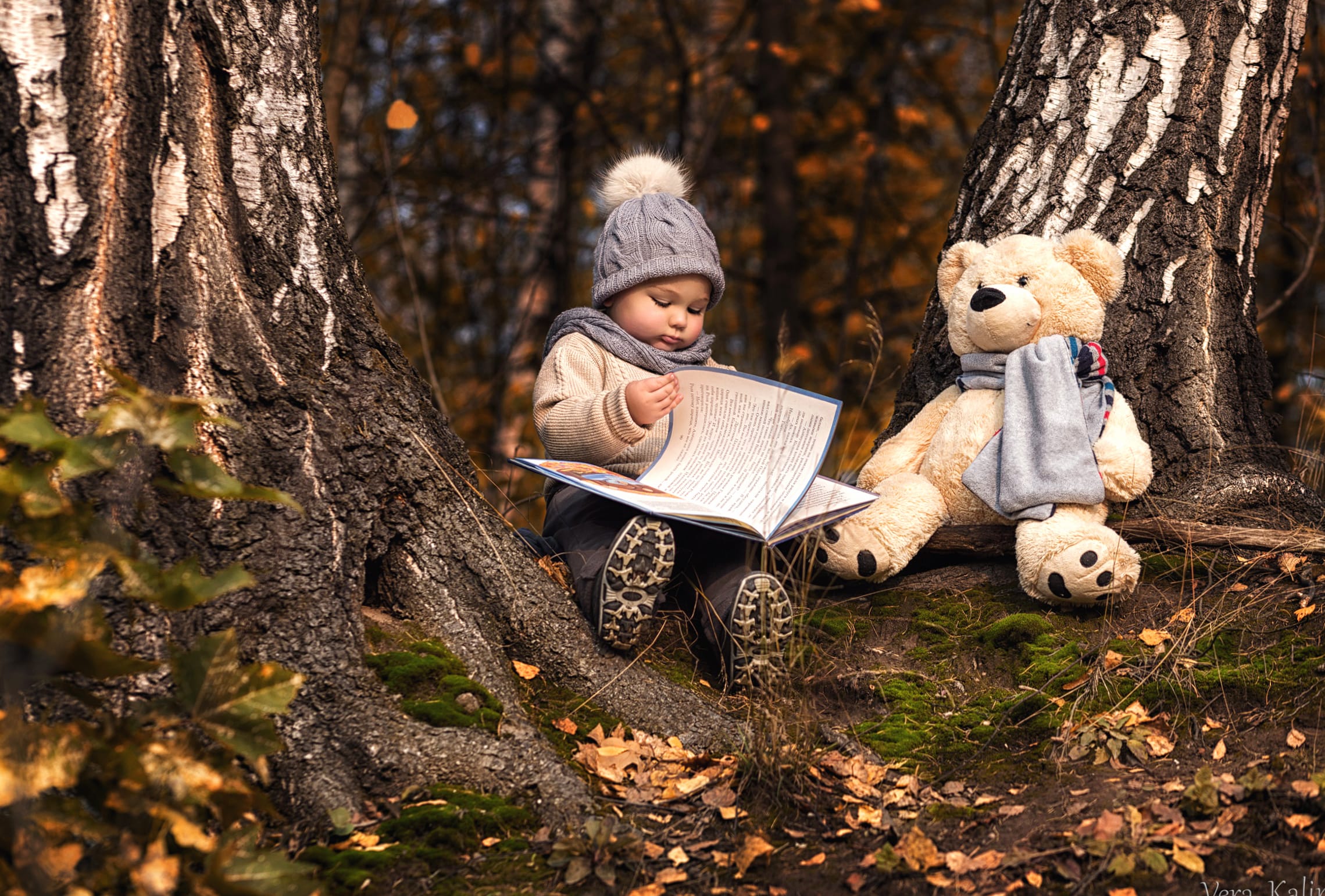 Book Stuffed Animal Teddy Bear Photography Child wallpapers HD quality