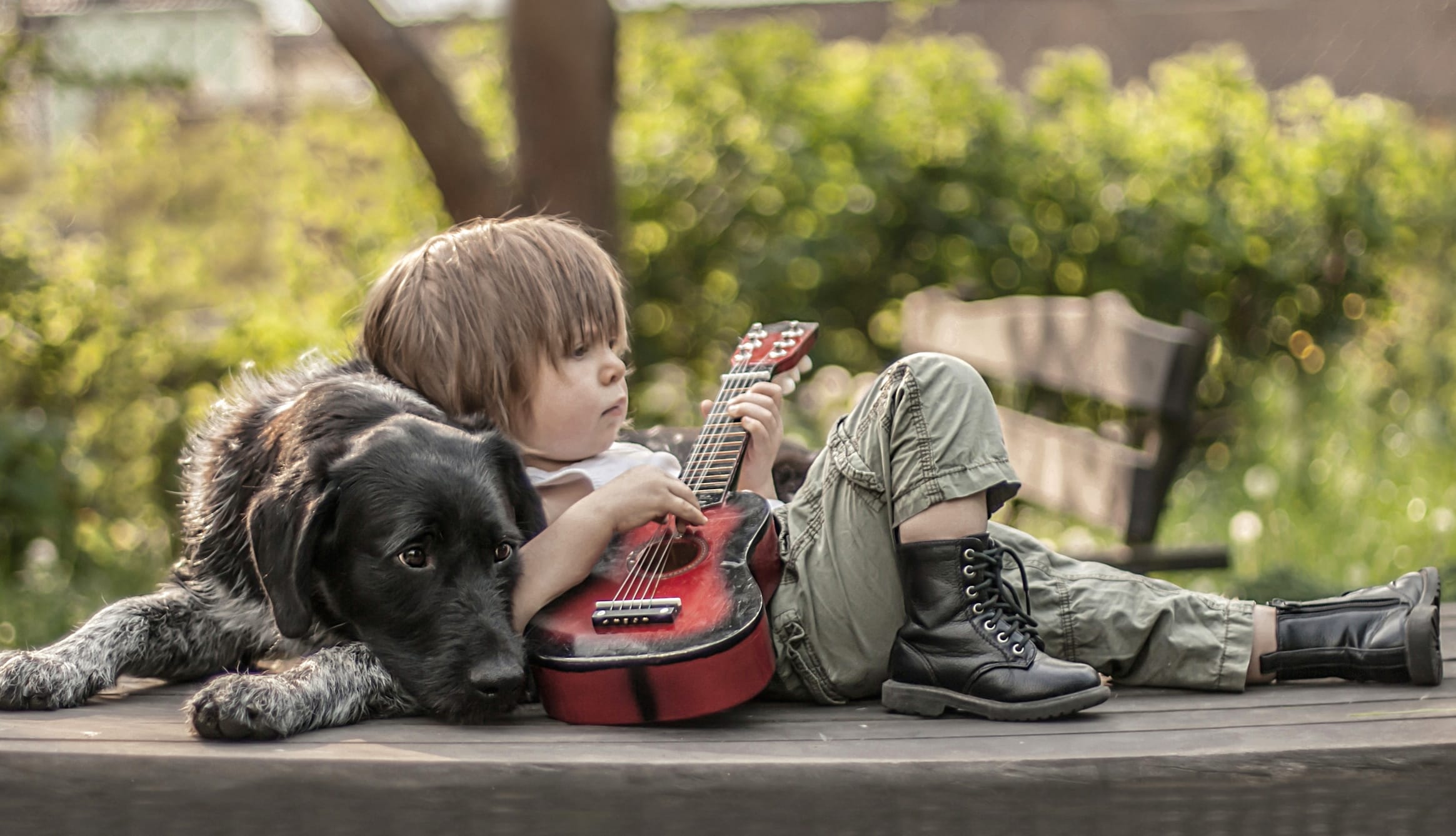 Boots Bokeh Dog Little Boy Photography Child wallpapers HD quality