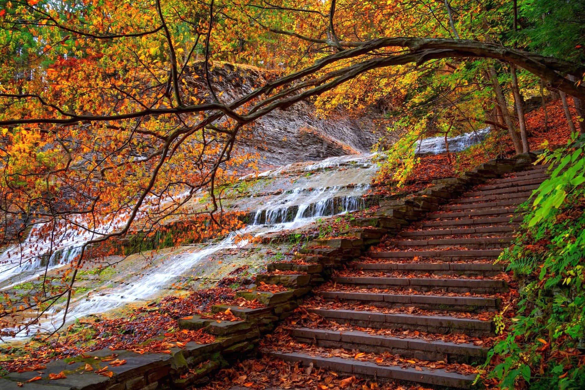 Branch Stream Stairs Photography Fall wallpapers HD quality