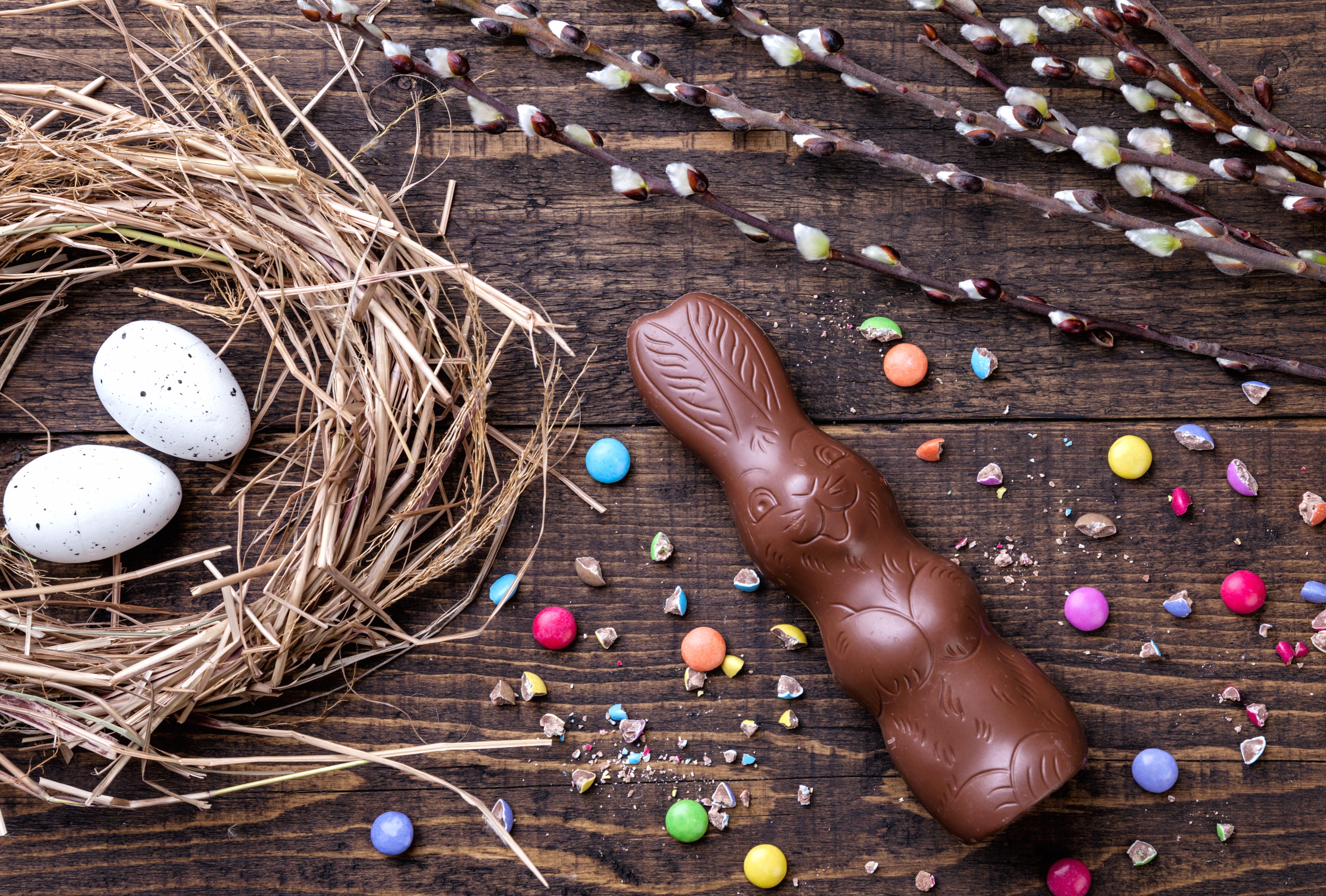 Candy Nest Still Life Chocolate Holiday Easter wallpapers HD quality