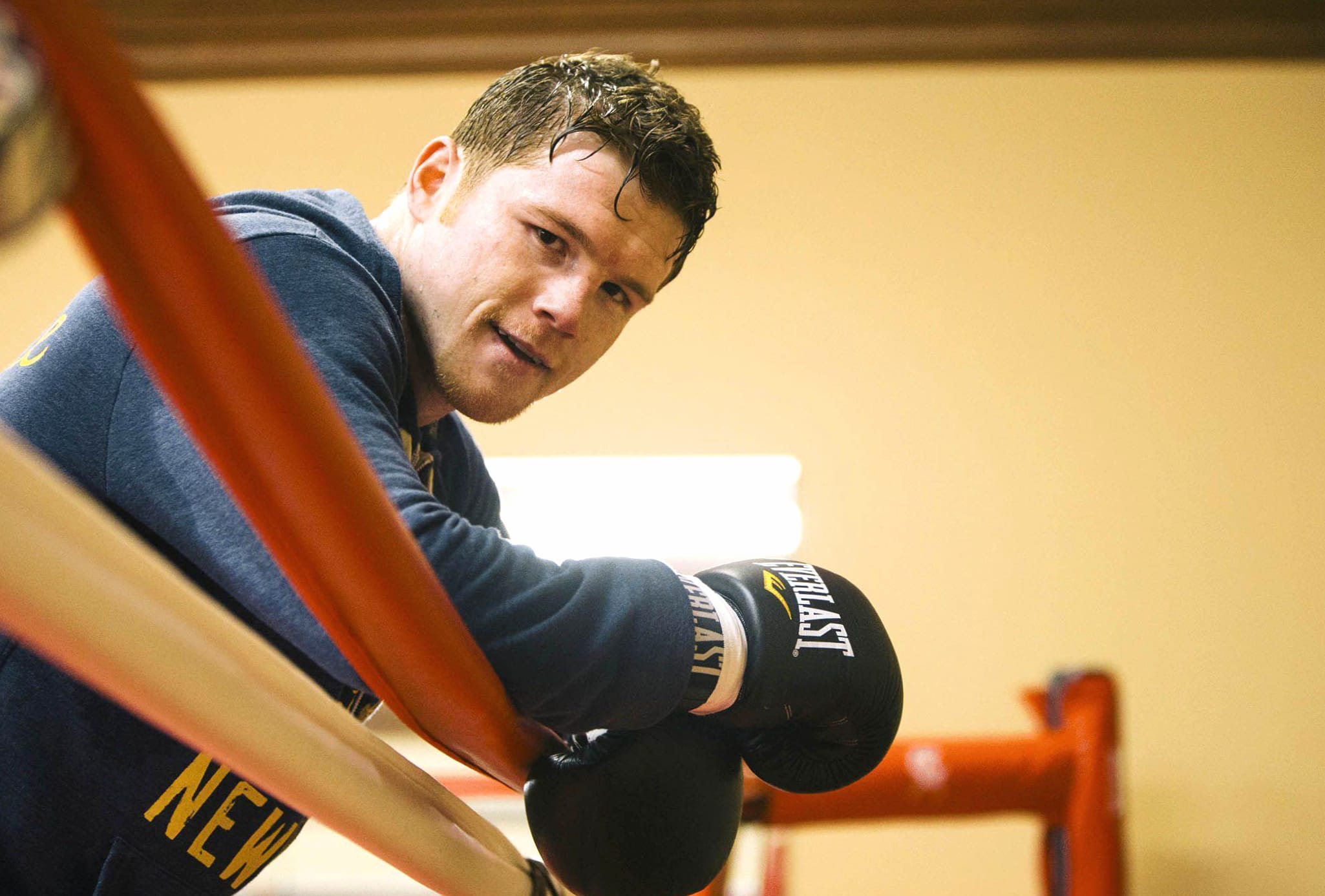 Canelo Álvarez Focus in the Ring at 1280 x 960 size wallpapers HD quality