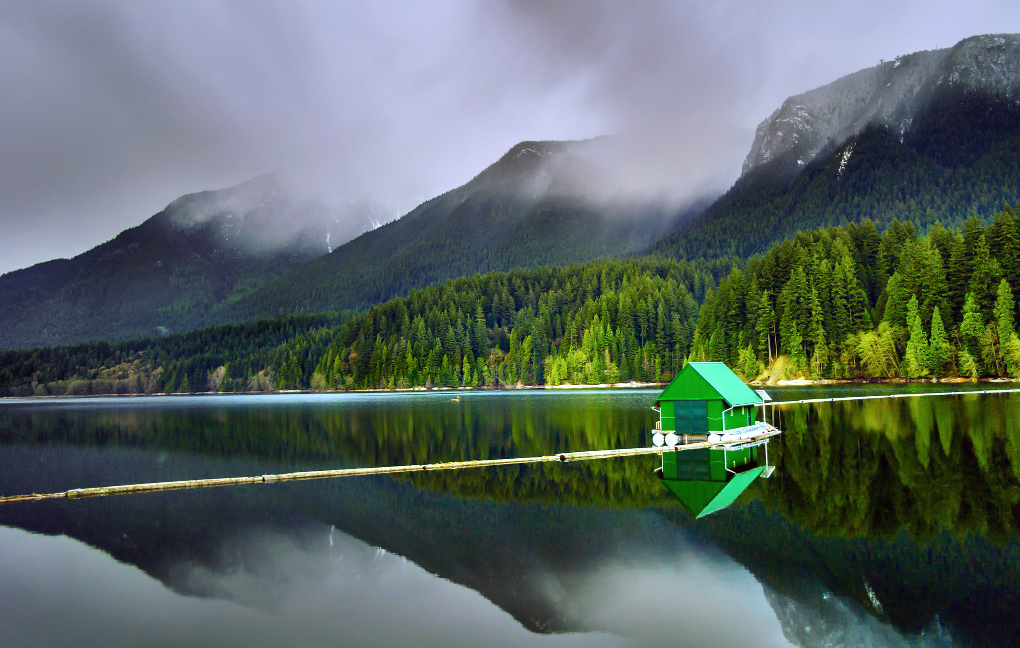 Capilano Lake Serenity A HD Forest Landscape wallpapers HD quality