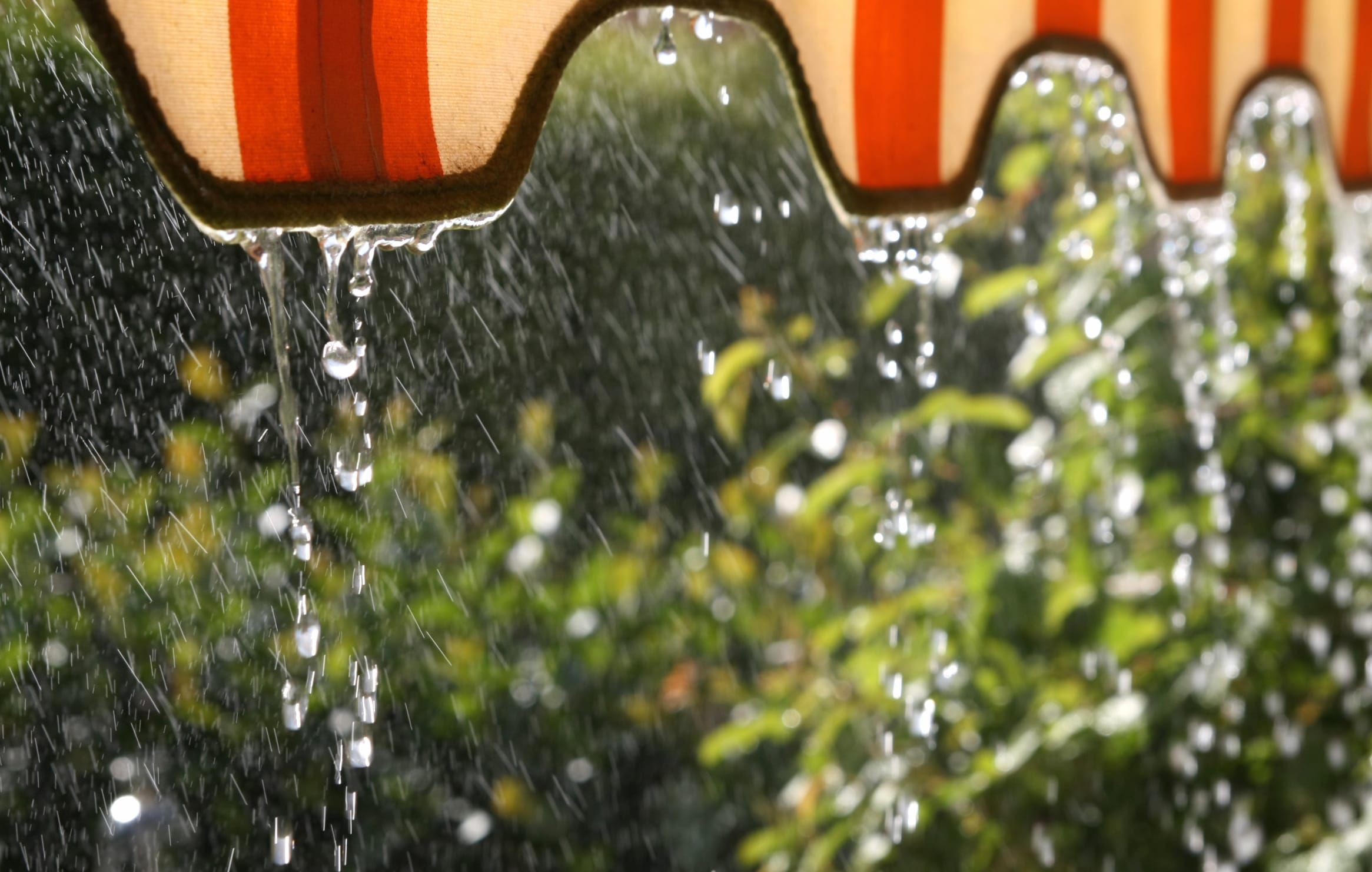 Captivating Rain Photography - wallpapers HD quality