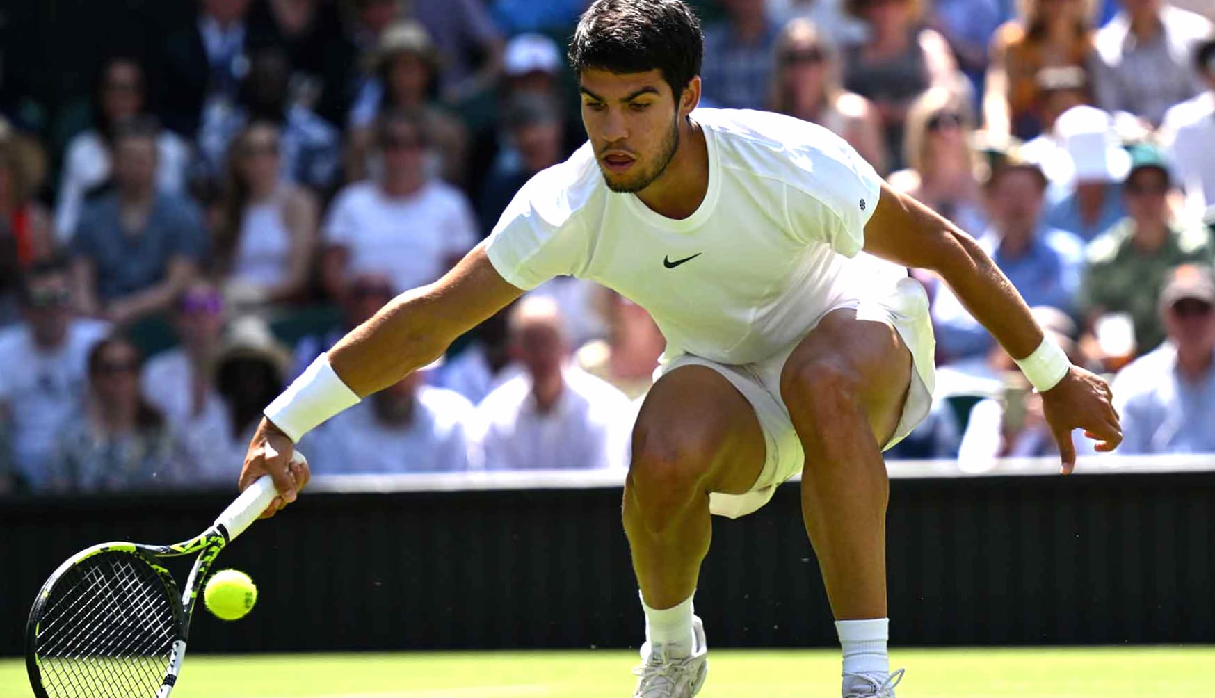 Carlos Alcaraz Wimbledon 2023 Tennis Action wallpapers HD quality