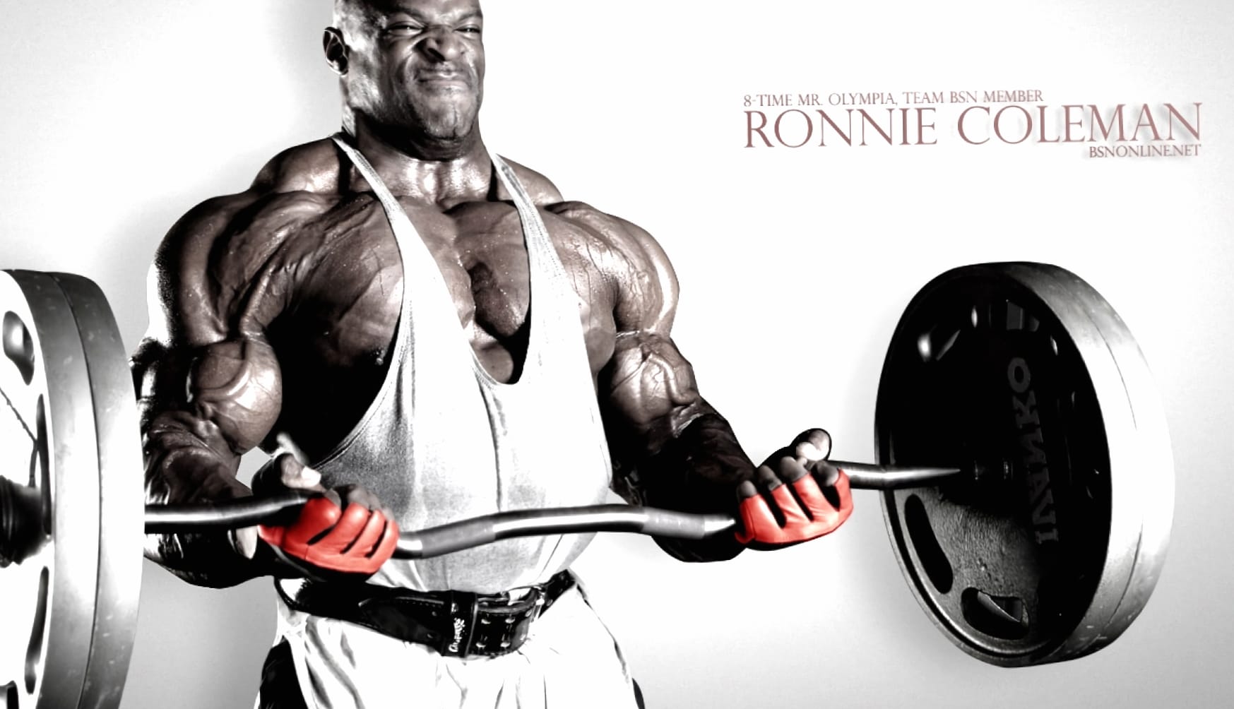 Champion Bodybuilder HD Sports Wallpaper wallpapers HD quality