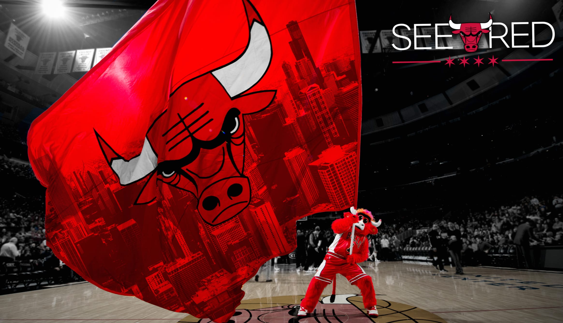 Chicago Bulls - See Red Theme wallpapers HD quality