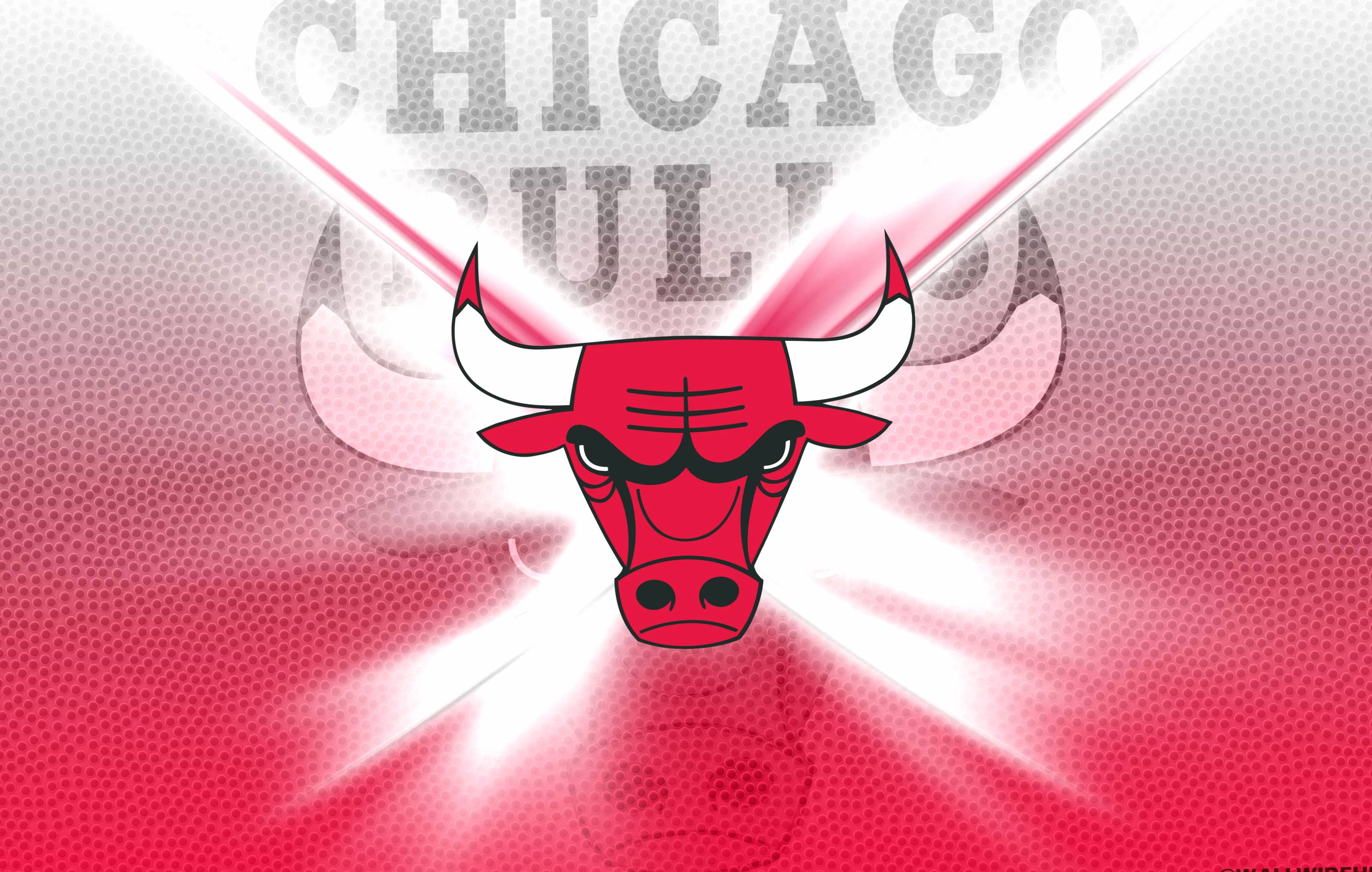 Chicago Bulls HD Desktop Wallpaper - Vibrant Team Emblem Design wallpapers HD quality