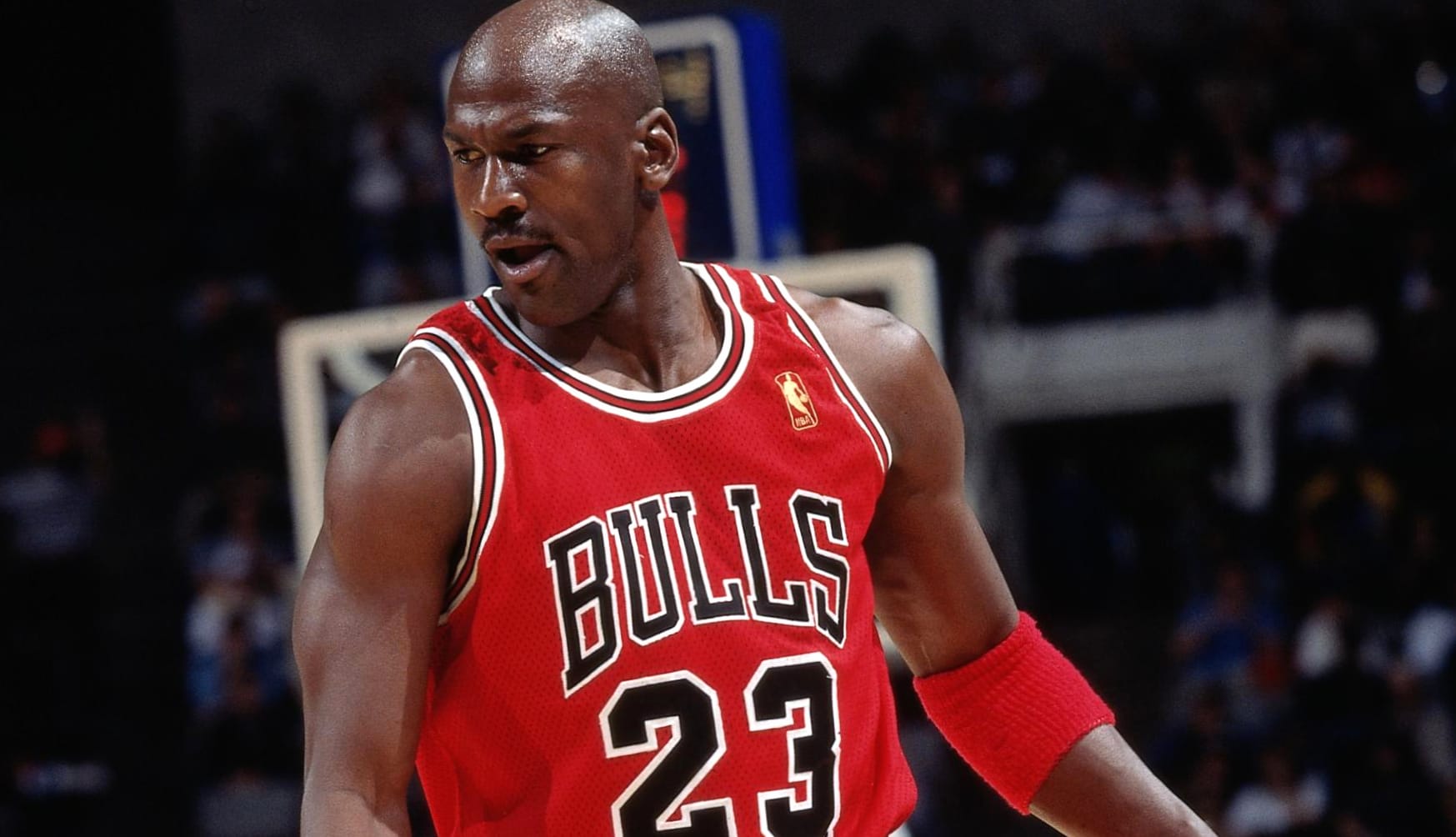 Chicago Bulls Legend at 1920 x 1080 HD size wallpapers HD quality