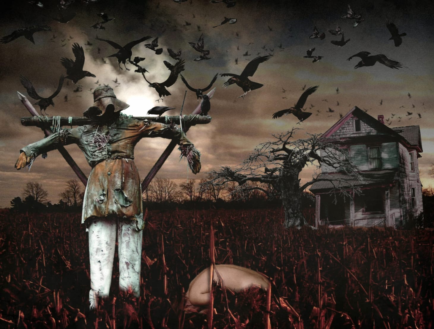Chilling Scarecrow of a Dark Landscape wallpapers HD Chilling Scarecrow of a Dark Landscape wallpapers HD quality