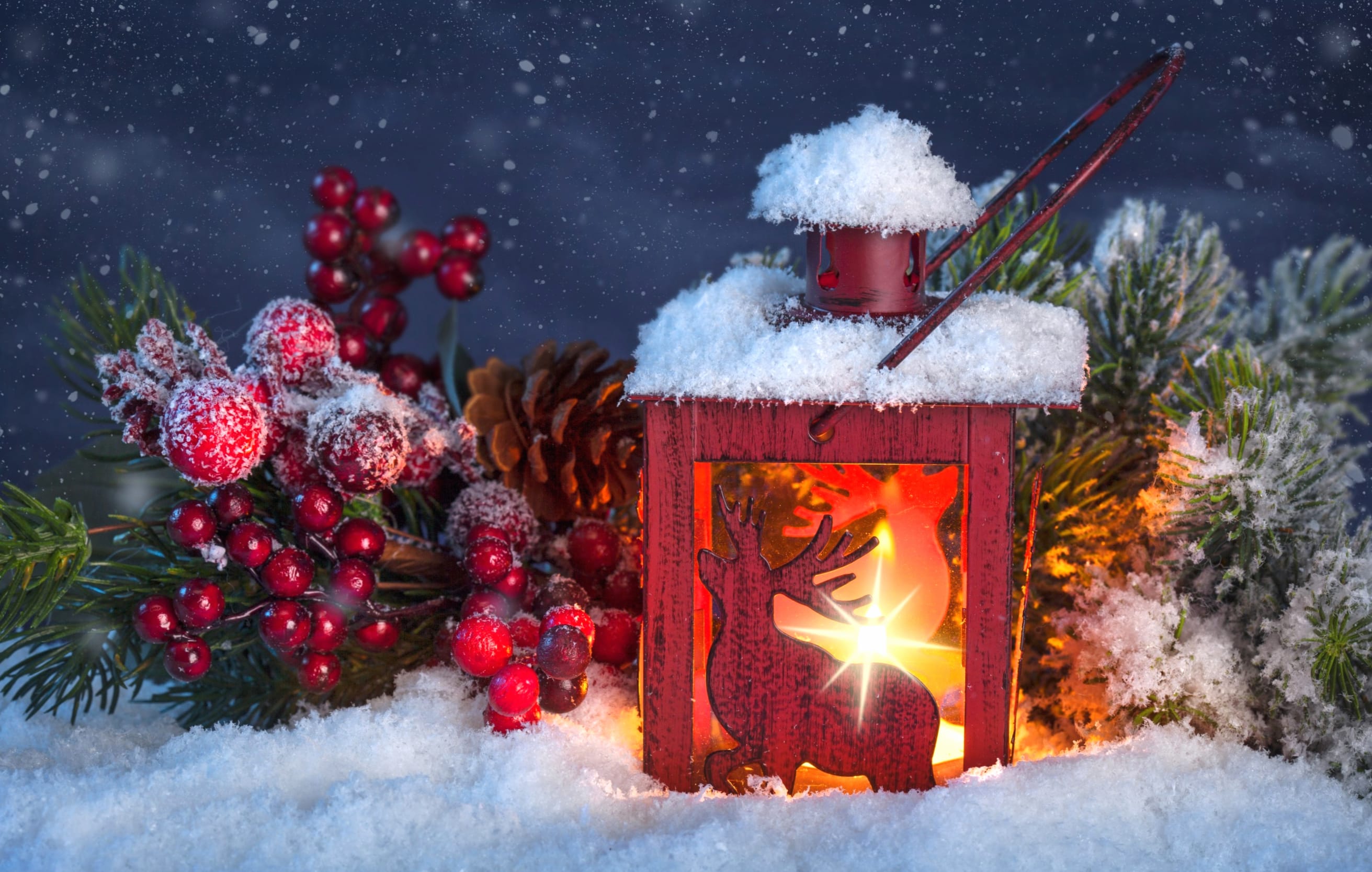 Christmas Lantern with Currants wallpapers HD quality