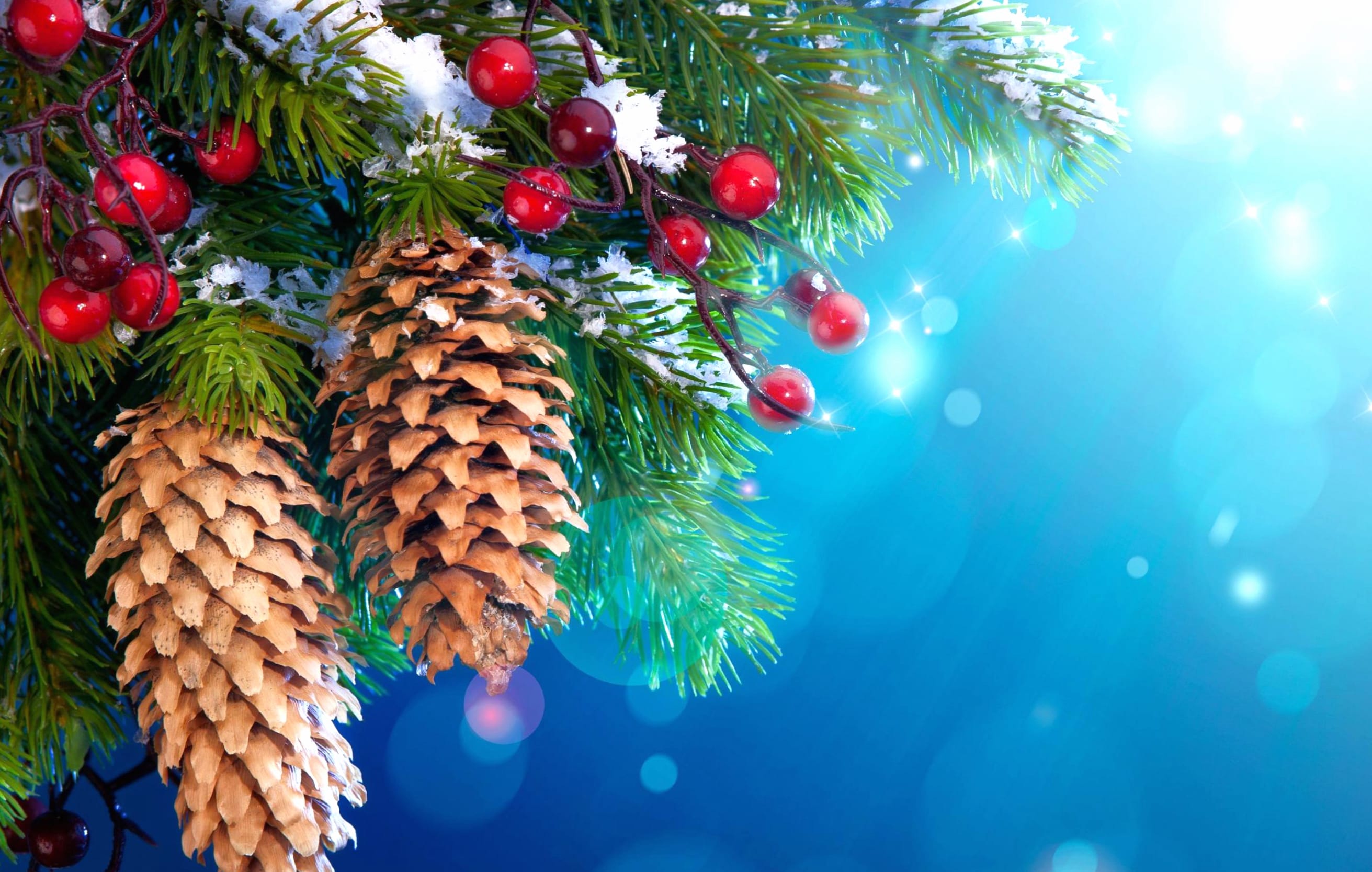 Christmas Pine Cones & Berries wallpapers HD quality