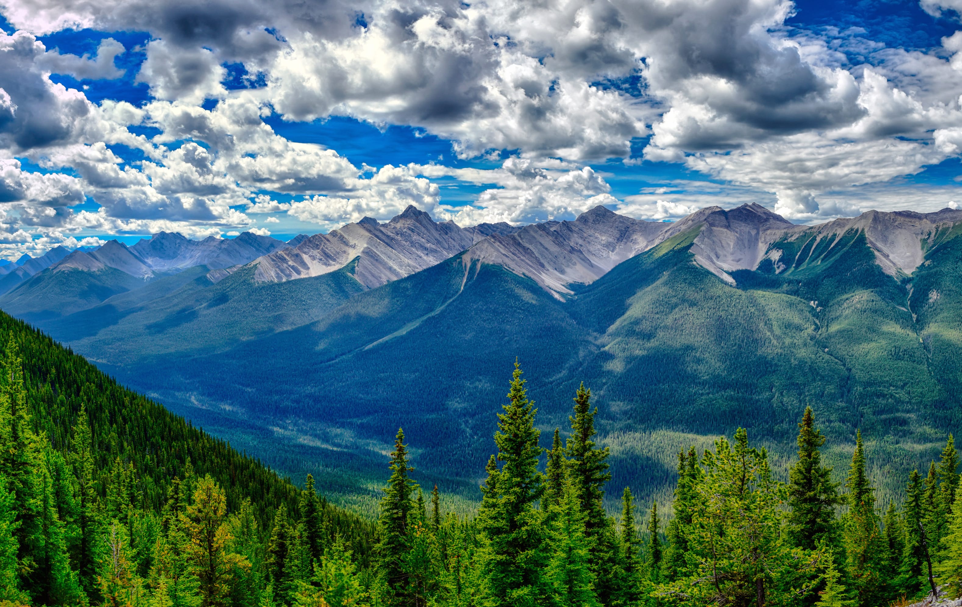 Cloud Sky Tree Forest Mountain Valley Nature Photography Landscape at 1600 x 1200 size wallpapers HD quality