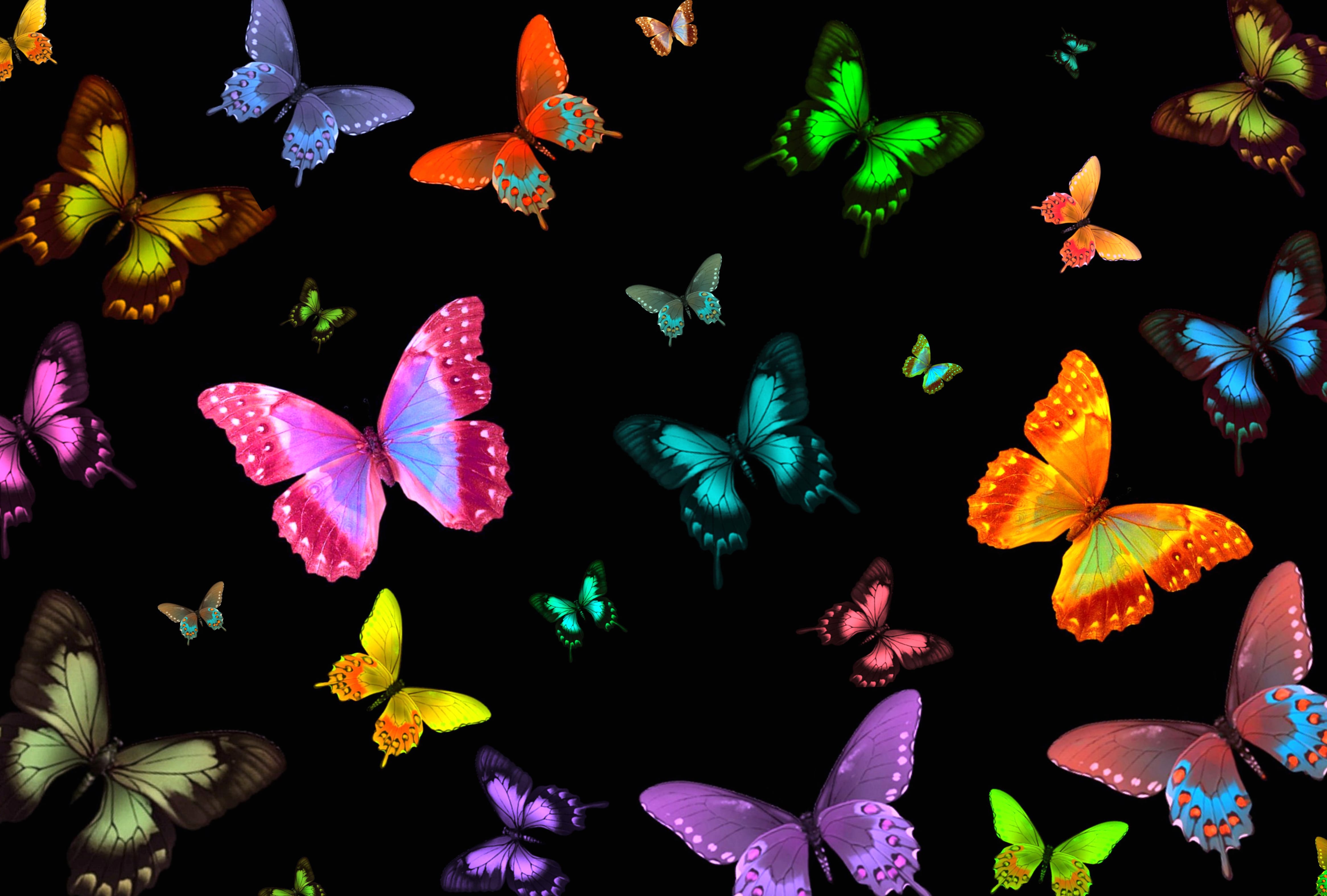 Colorful Butterfly Dreams A wallpapers HD quality