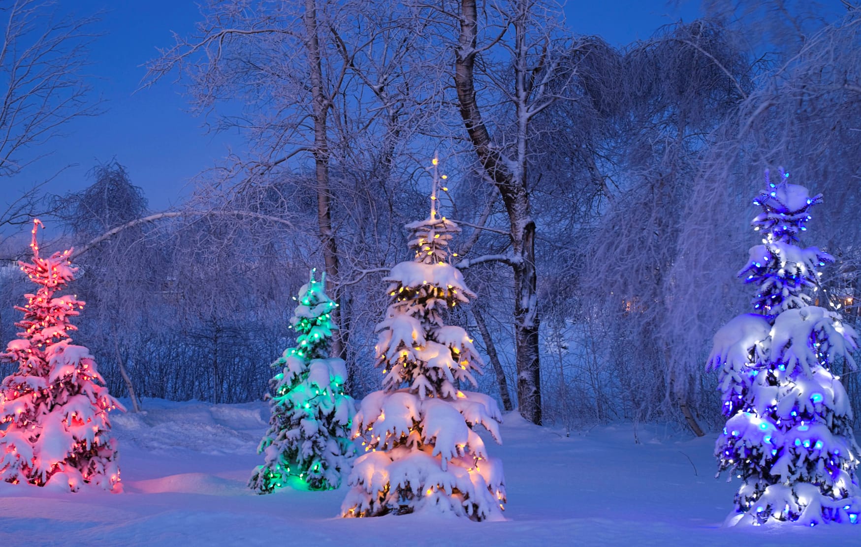 Colorful Christmas Wonderland wallpapers HD quality