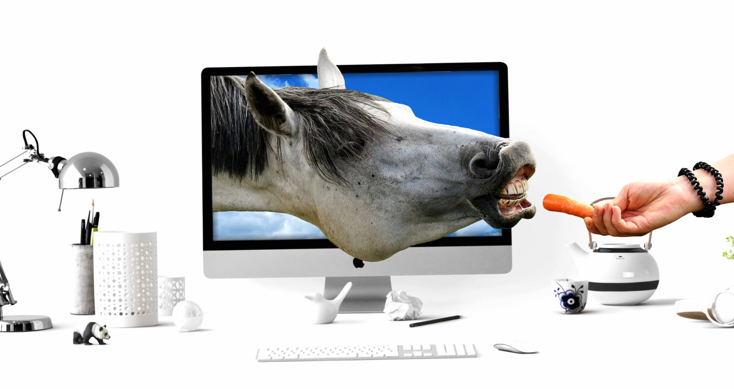 Computer Horse Photography Manipulation wallpapers HD quality