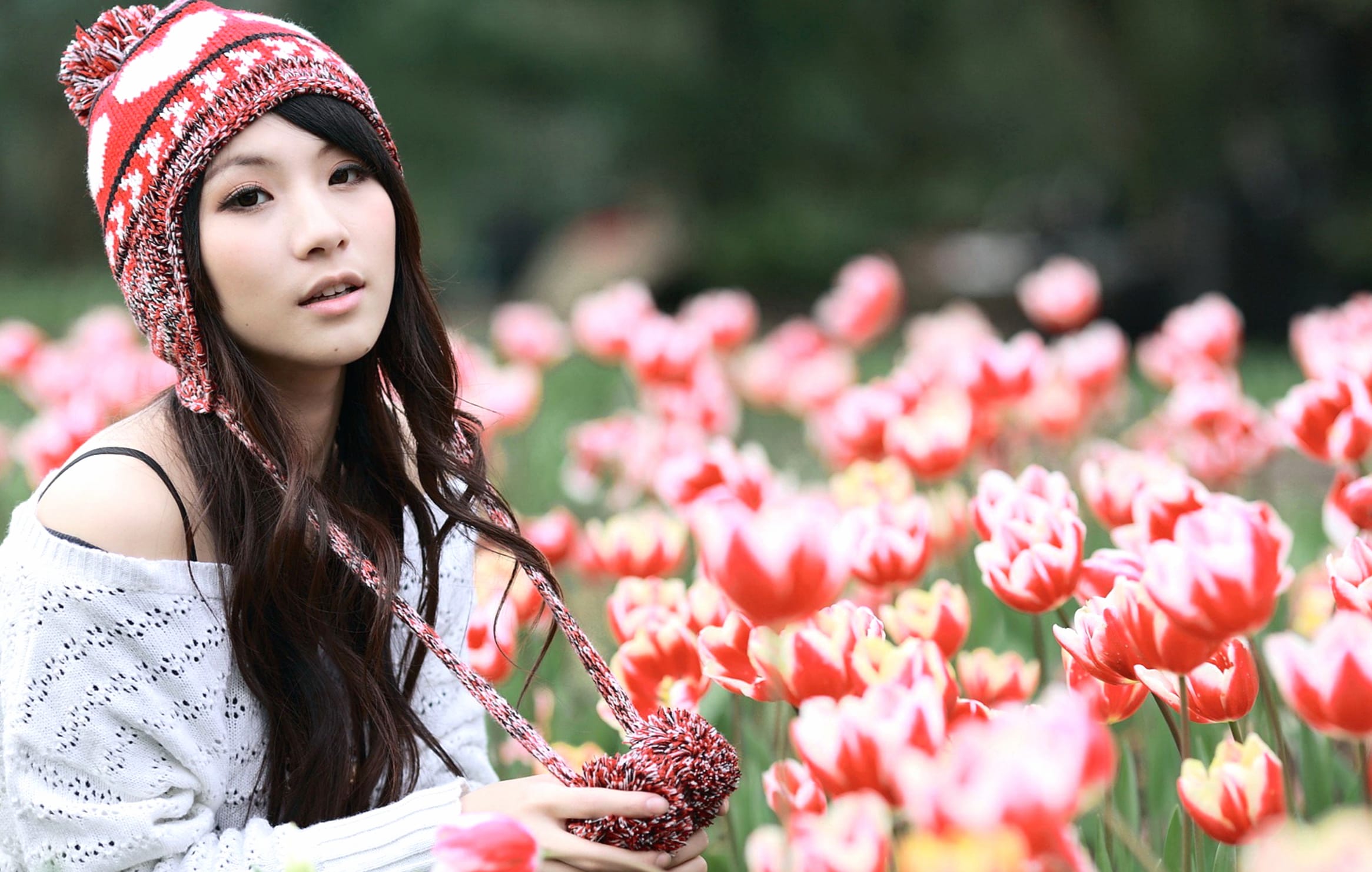 Contemplative Mood in Tulip Field - wallpapers HD quality