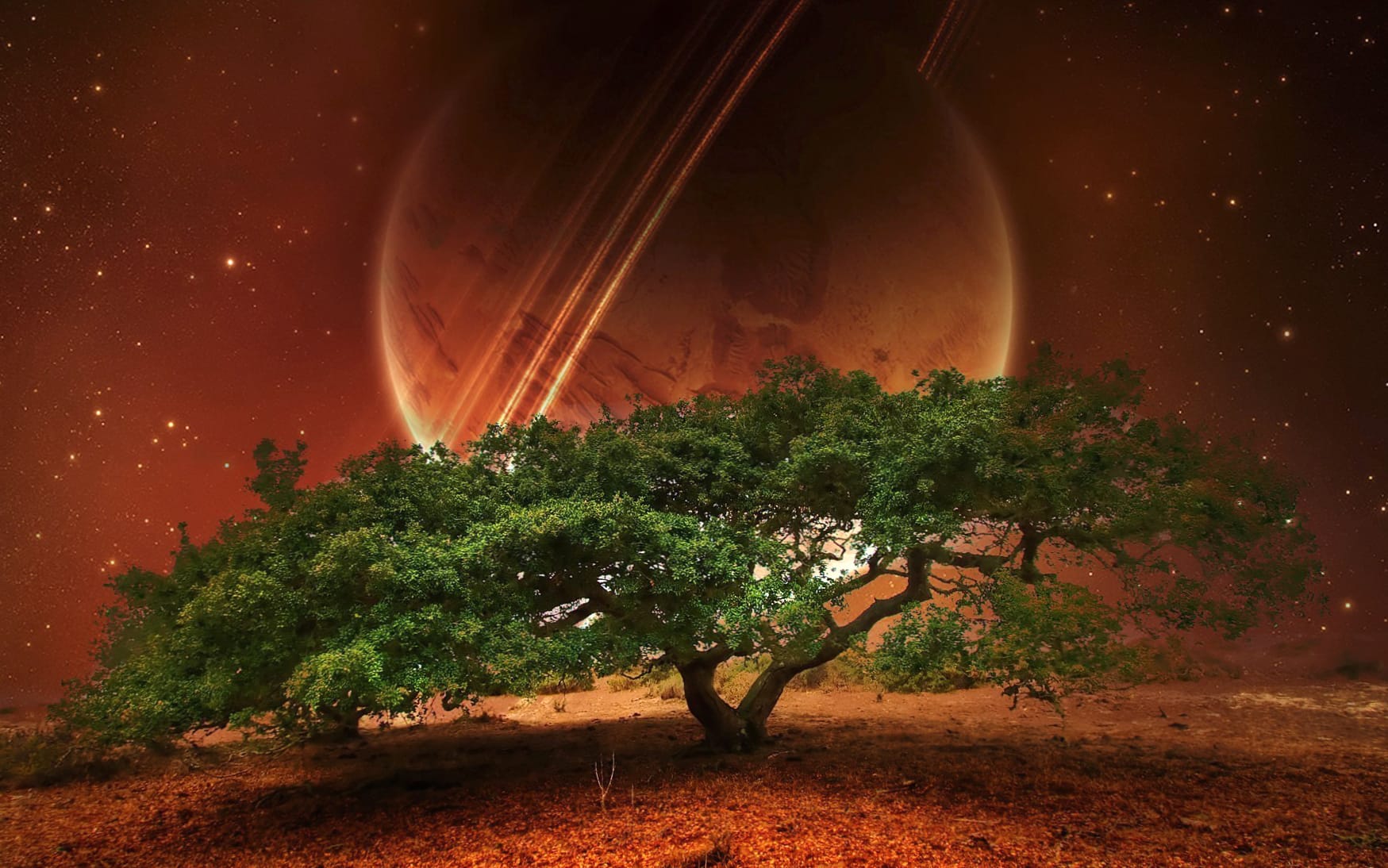 Cosmic Tree A Stunning Sci-Fi wallpapers HD quality