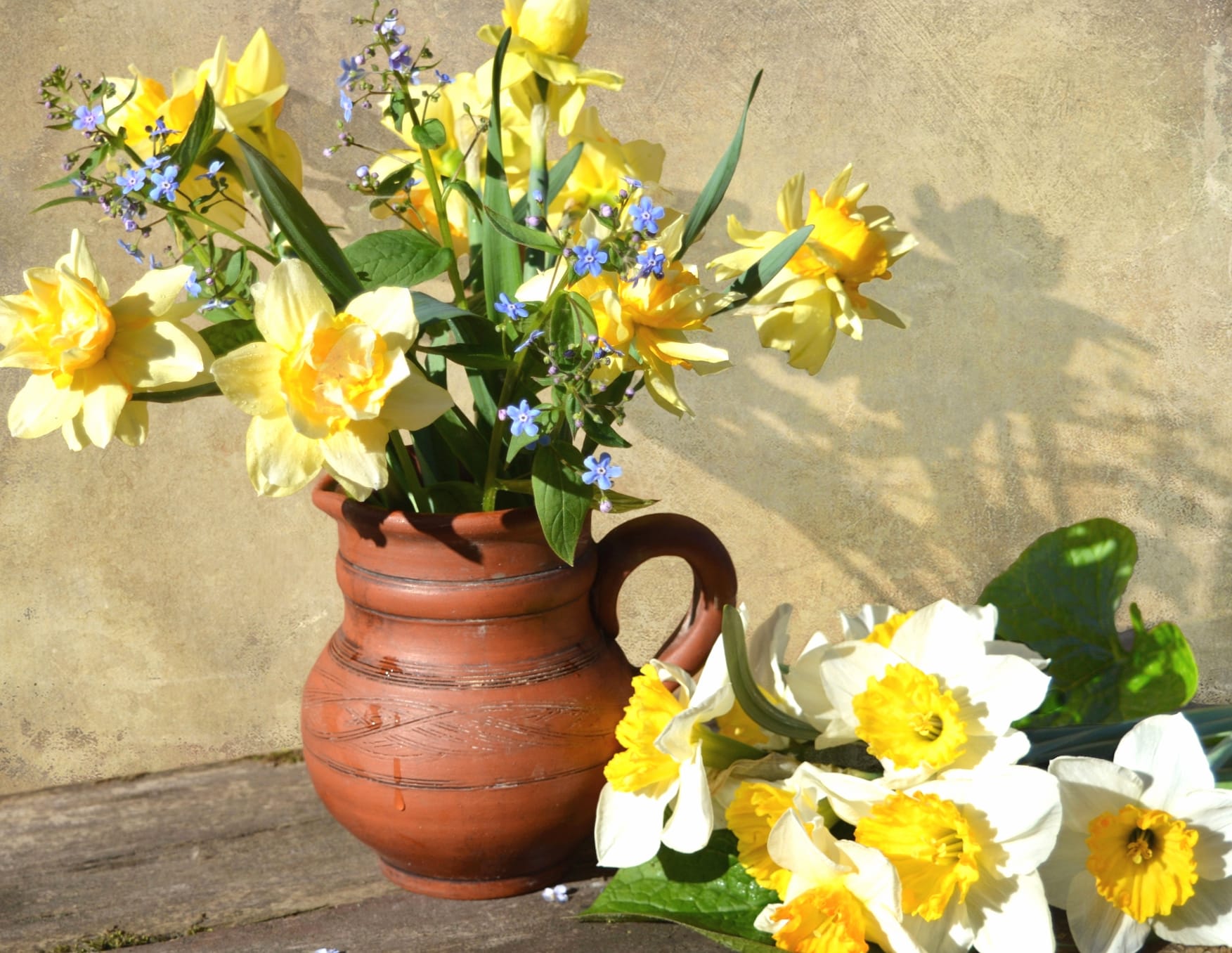 Daffodil White Flower Yellow Flower Flower Vase Photography Still Life wallpapers HD quality