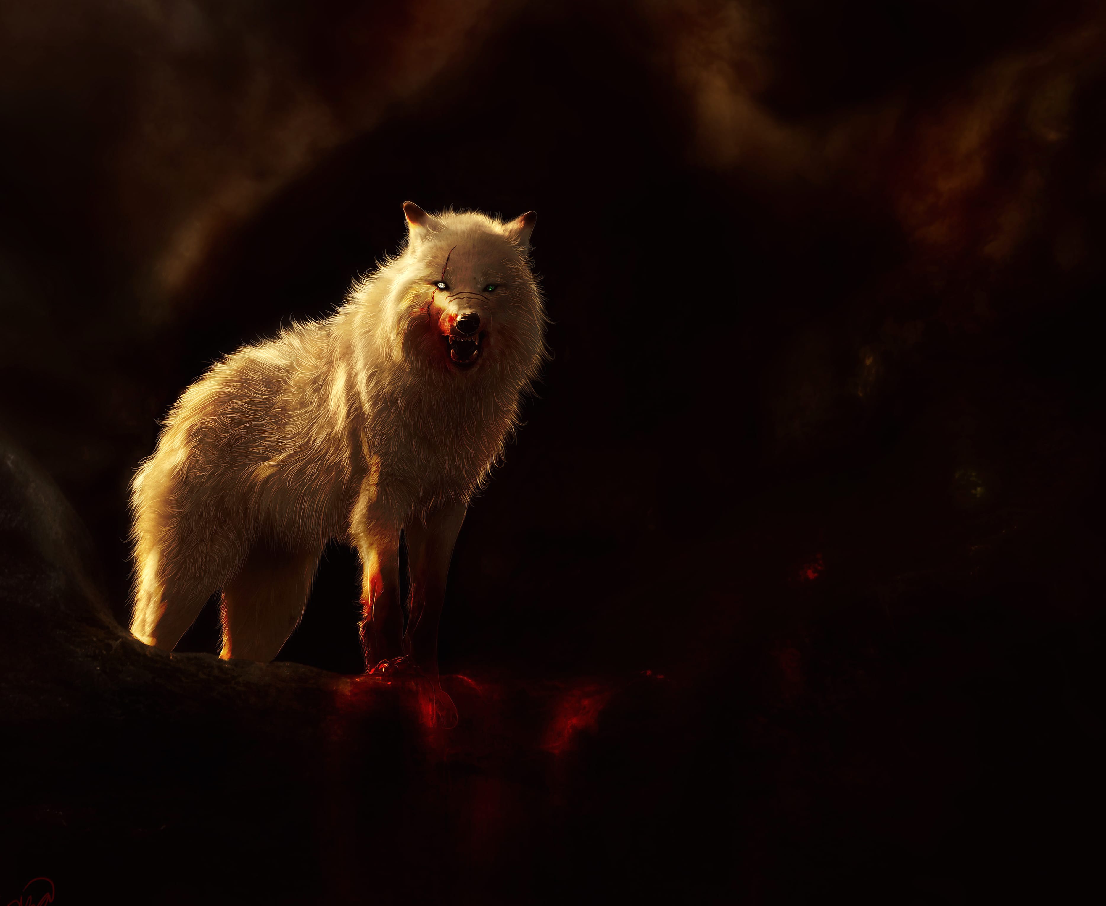 Dark Blood Wolf - HD Fantasy Wallpaper wallpapers HD Dark Blood Wolf - HD Fantasy Wallpaper wallpapers HD quality