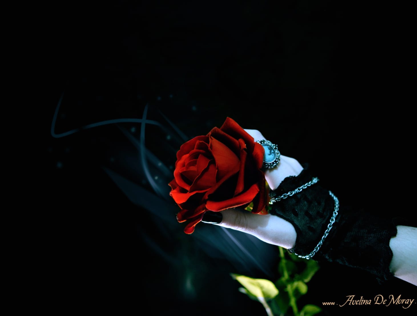 Dark Gothic Rose wallpapers HD Dark Gothic Rose wallpapers HD quality