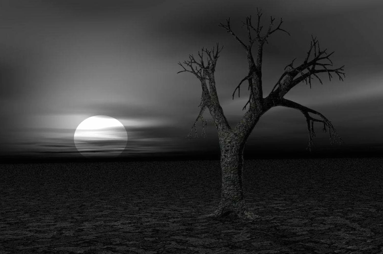 Dark Serenity of a Haunting Landscape wallpapers HD Dark Serenity of a Haunting Landscape wallpapers HD quality