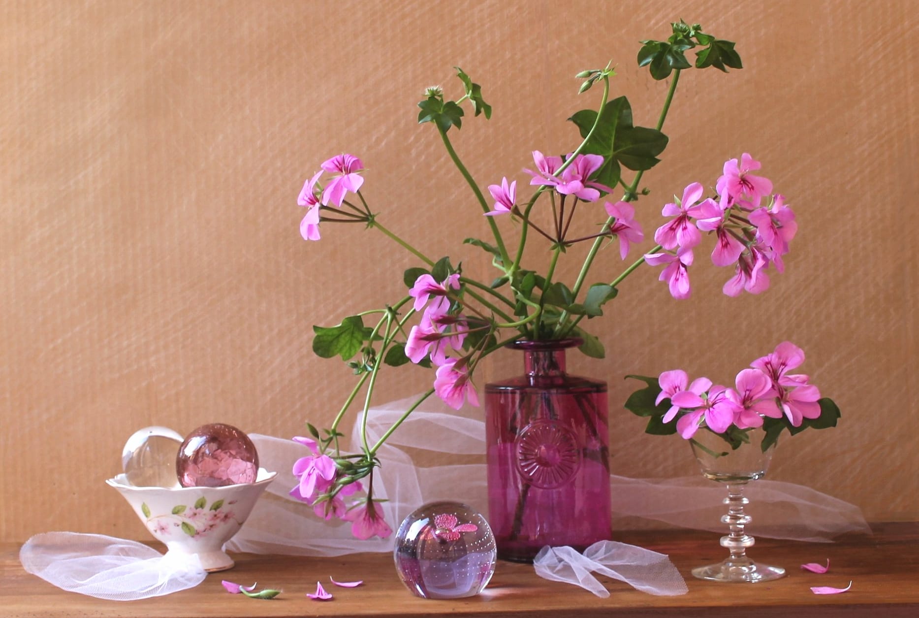 Delicate Pink Flower Still Life - wallpapers HD quality