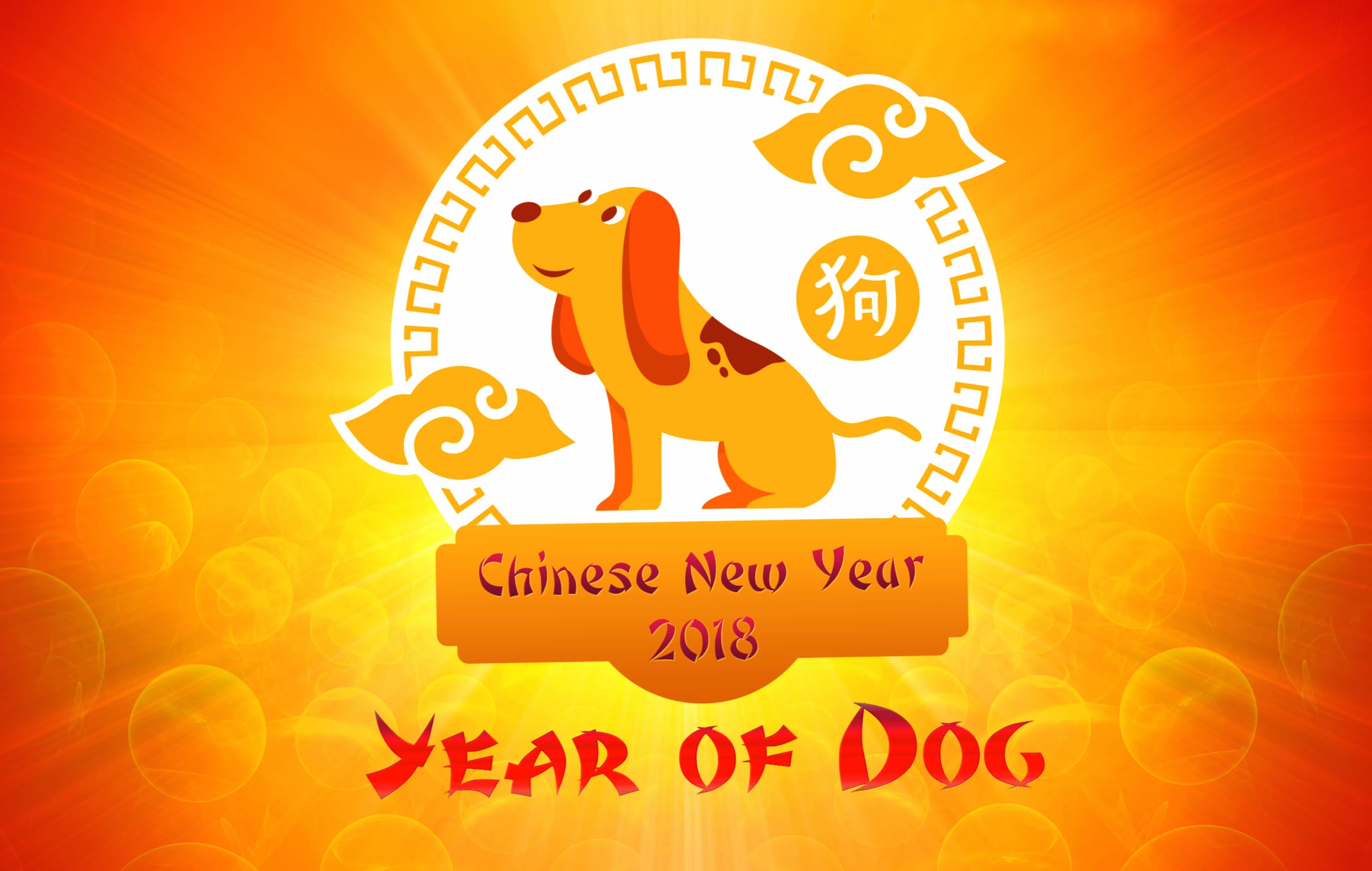 Dog New Year Holiday Chinese New Year wallpapers HD quality