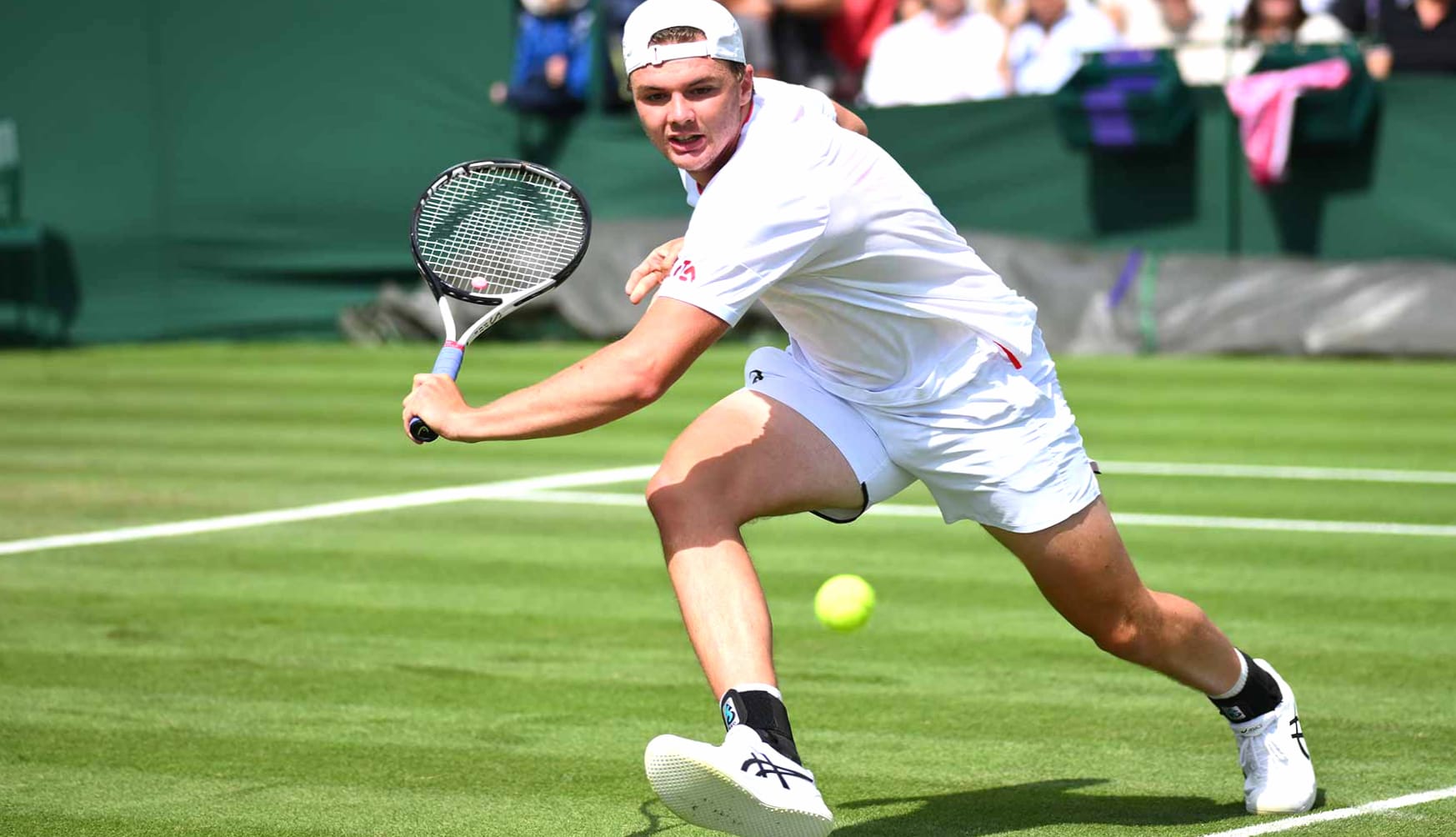 Dominic Stricker in Action - Wimbledon 2023 Tennis wallpapers HD quality