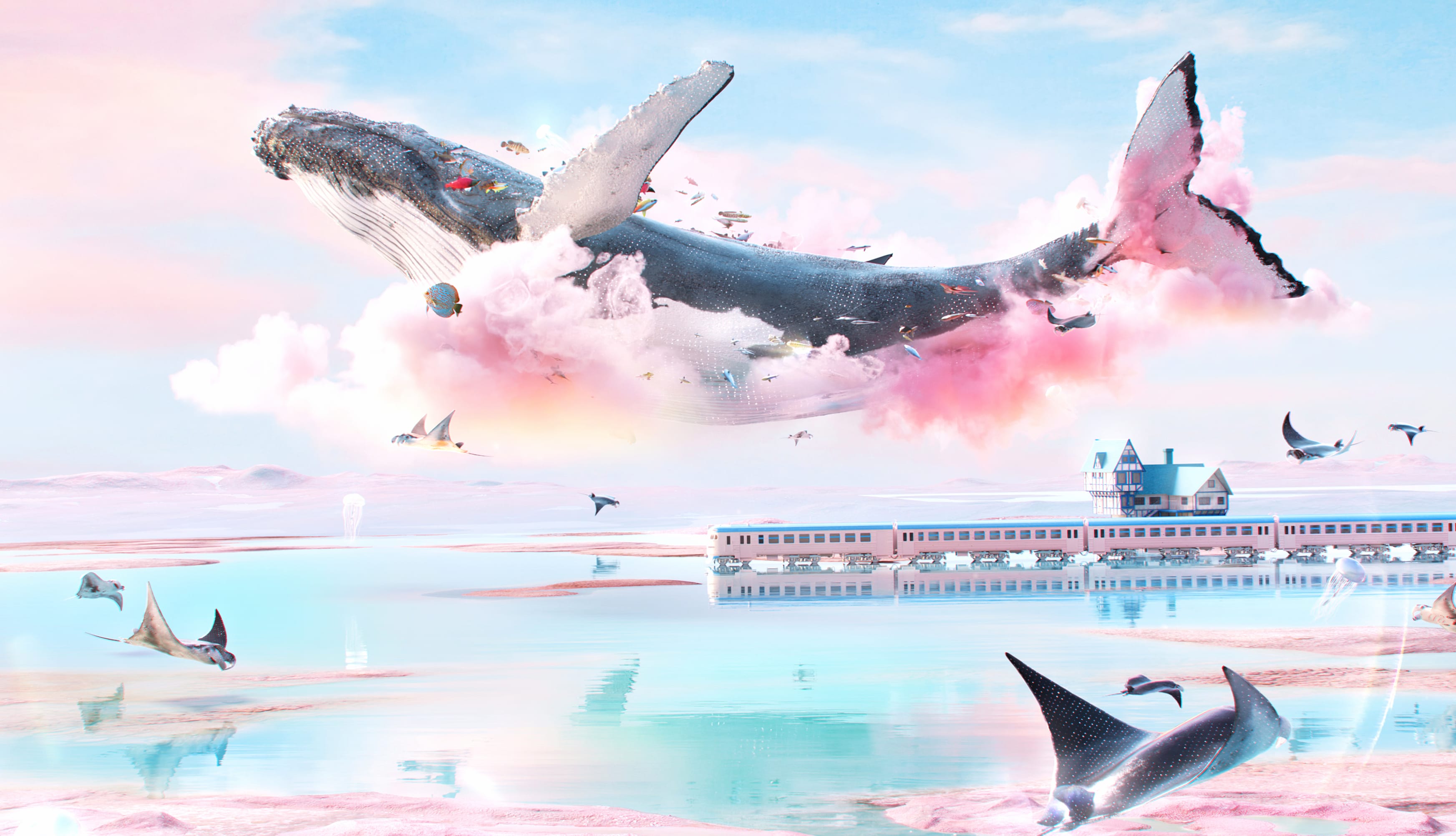 Dreamlike Whale at 2560 x 1440 HD size wallpapers HD quality