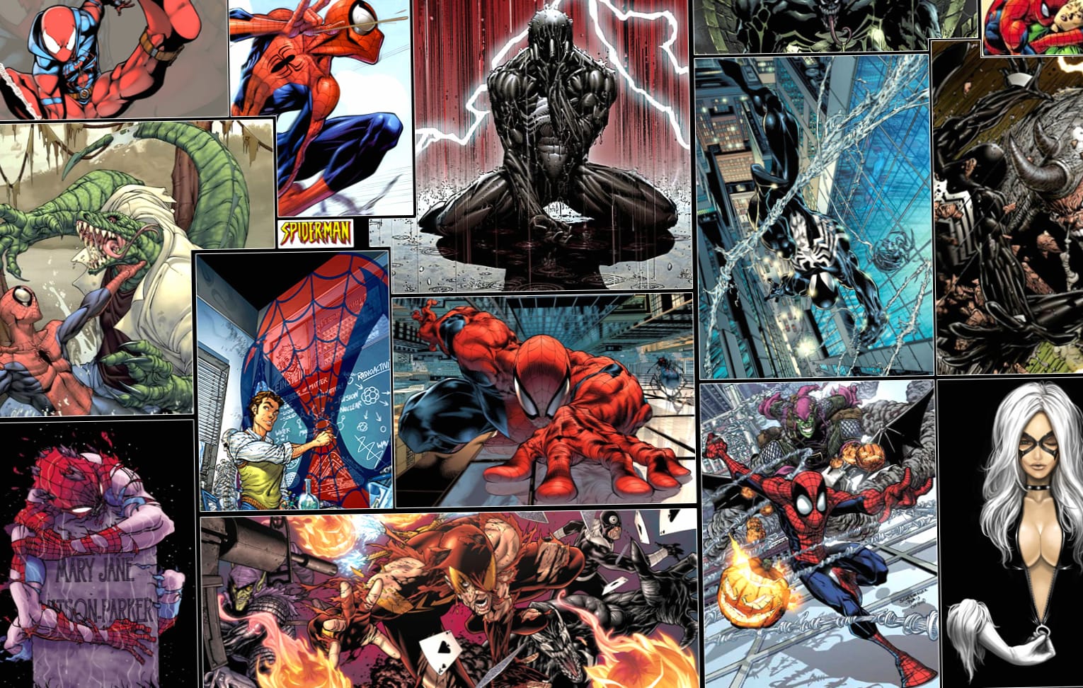 Dynamic Spider-Man Collage wallpapers HD quality