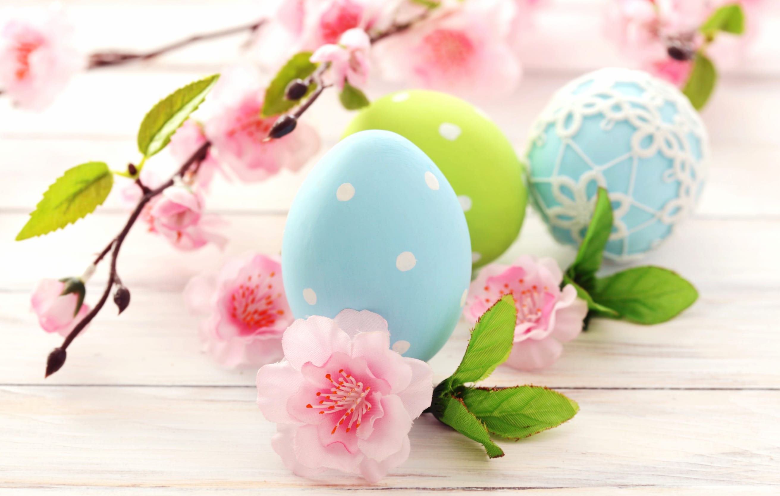 Easter Blossoms wallpapers HD quality