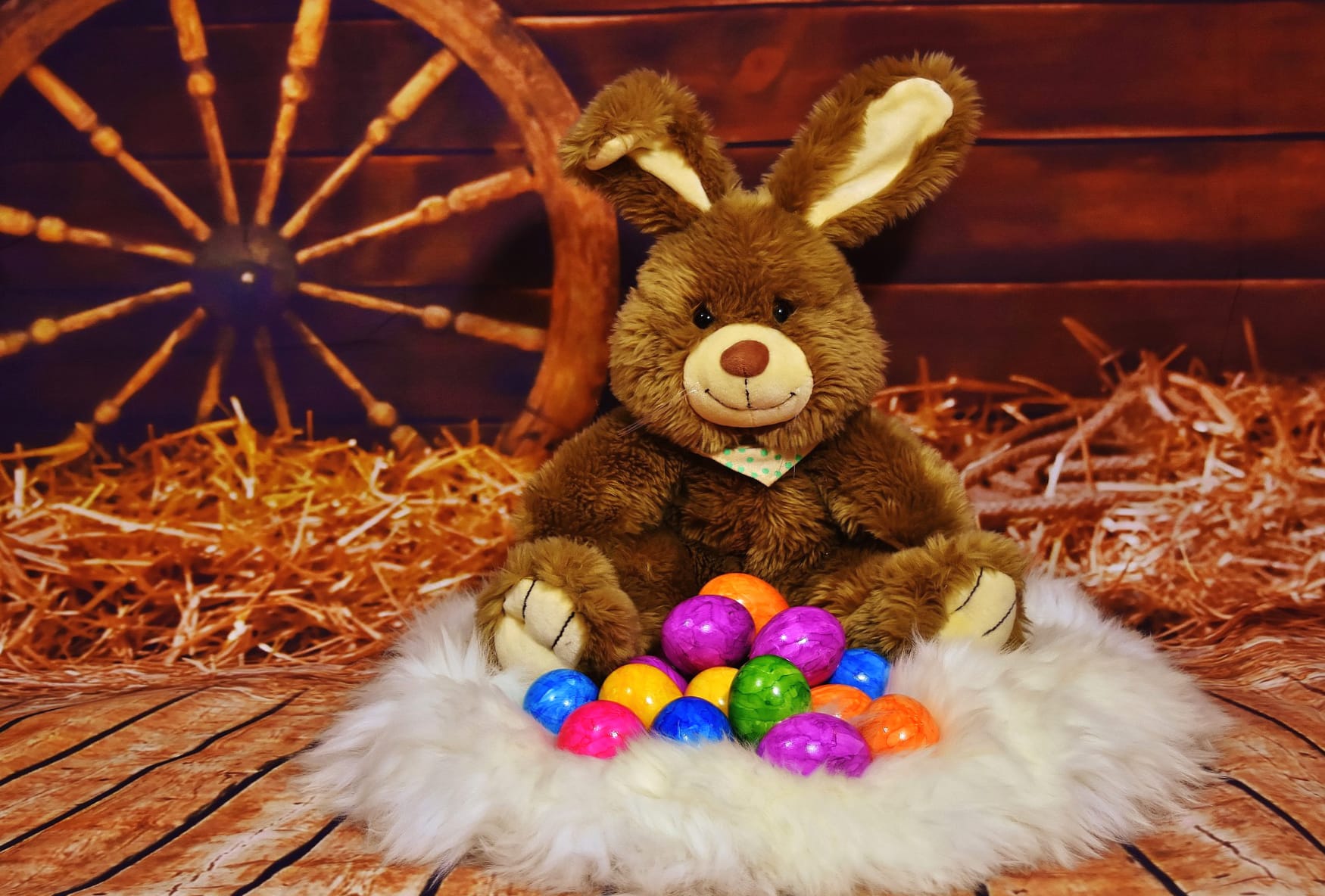 Easter Egg Still Life Rabbit Bunny Stuffed Animal Holiday Easter at 1920 x 1080 HD size wallpapers HD quality