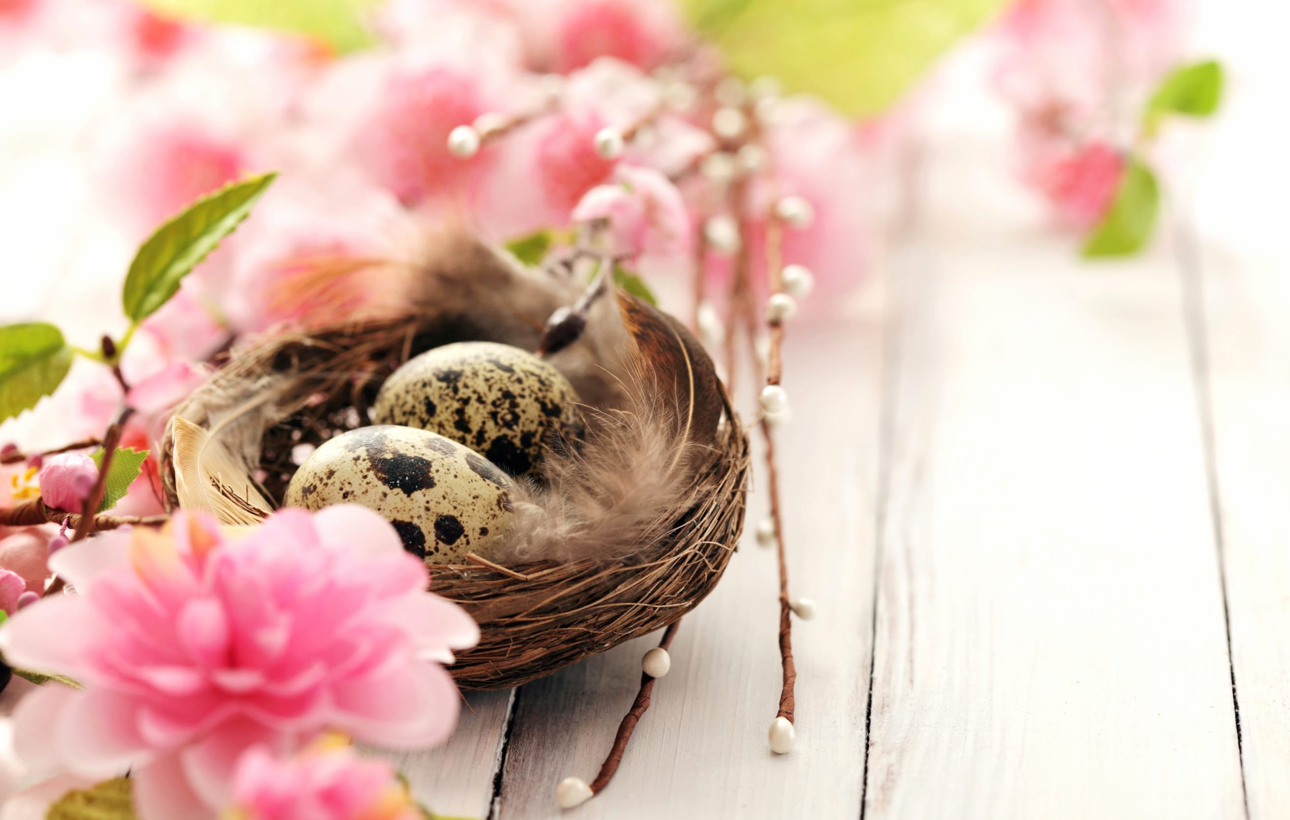 Easter Nest Elegance wallpapers HD quality