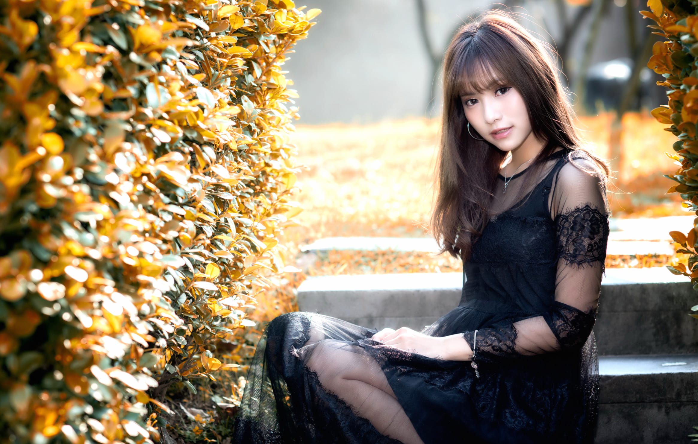 Elegant Autumn - Asian Brunette in Black Dress wallpapers HD quality