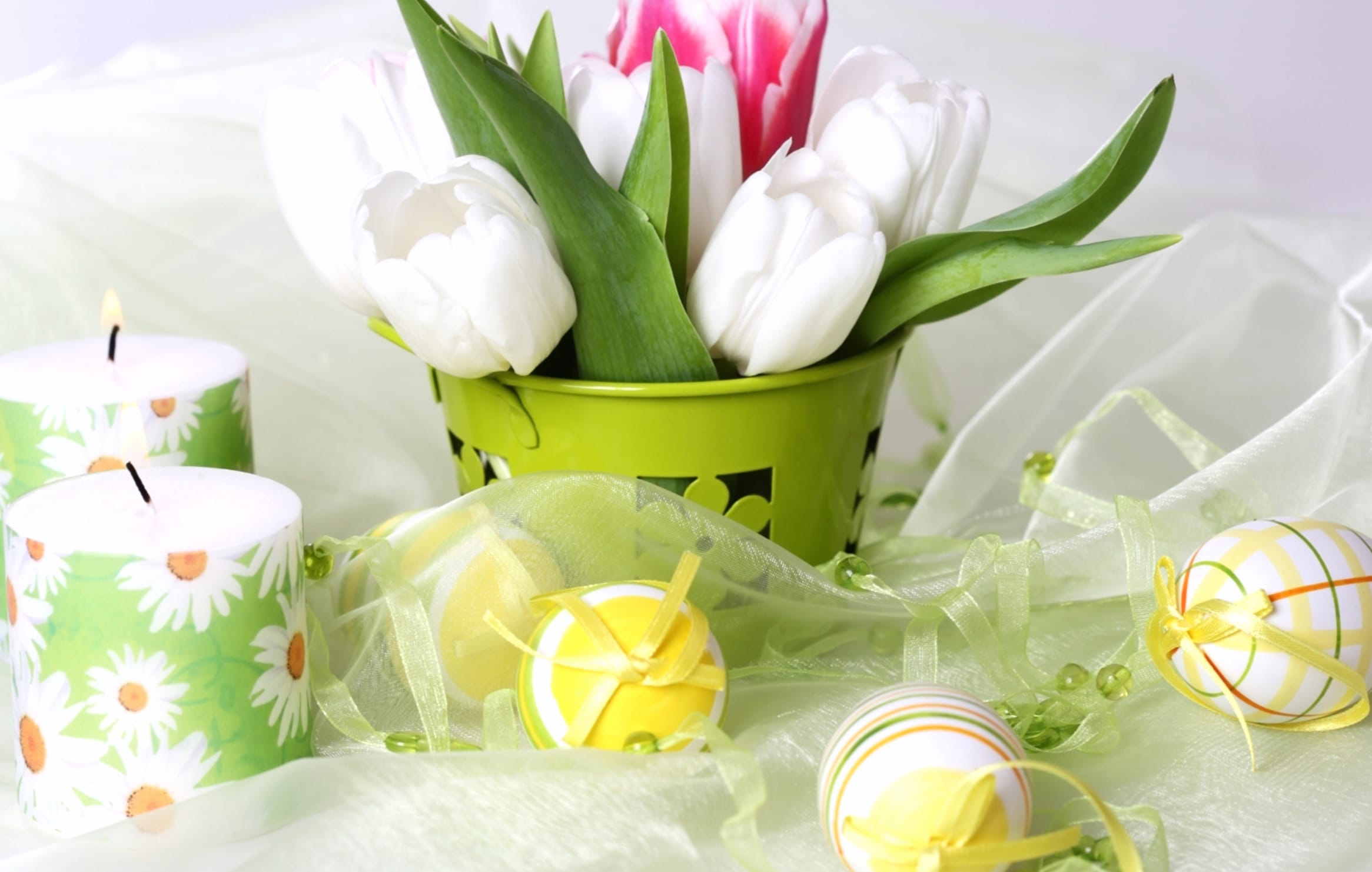 Elegant Easter Tulips wallpapers HD quality