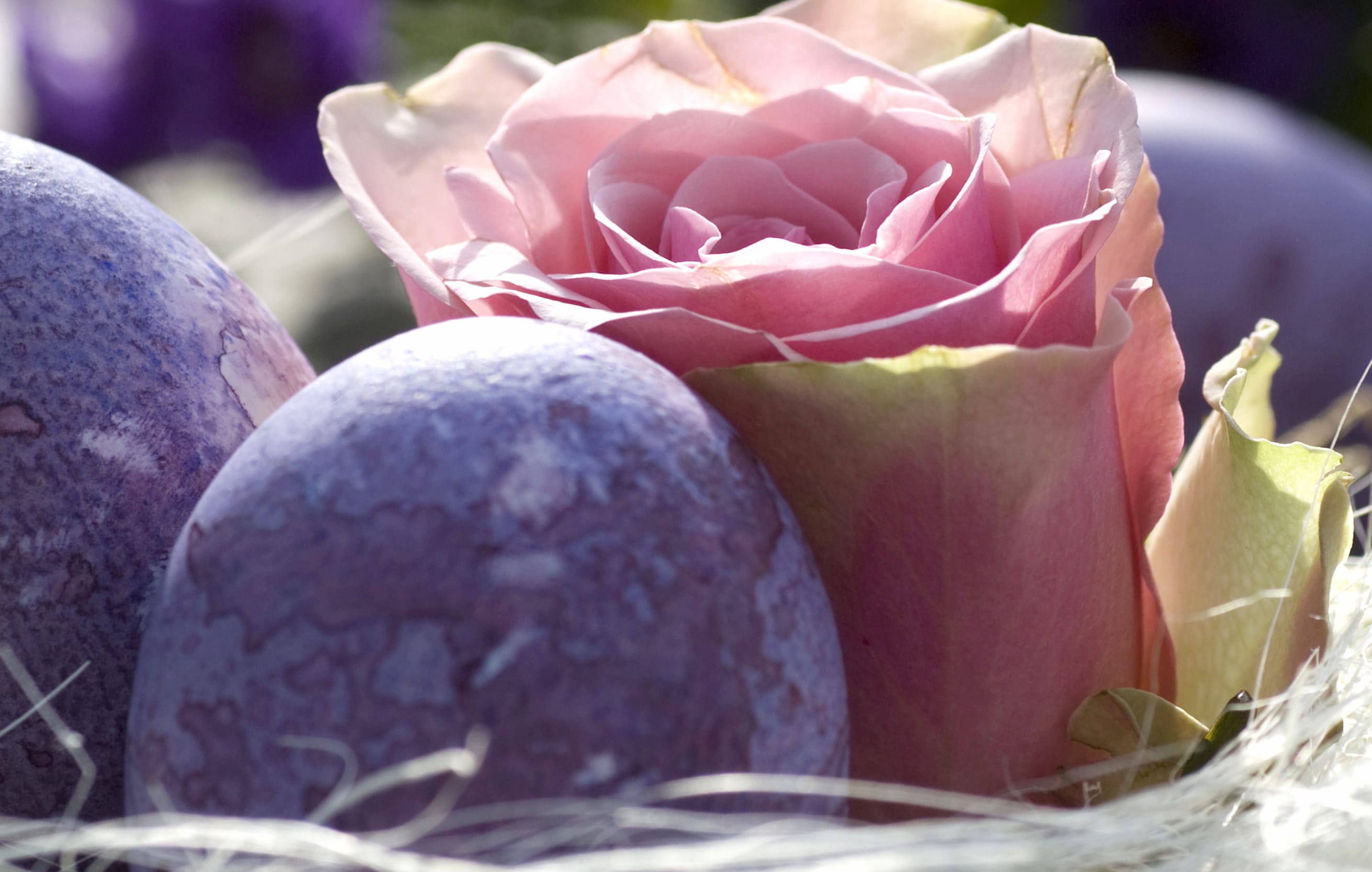 Elegant Easter with Floral Touch wallpapers HD quality