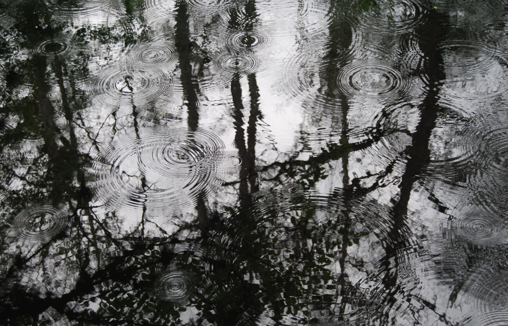 Elegant Rainfall Black & White at 1024 x 1024 iPad size wallpapers HD quality