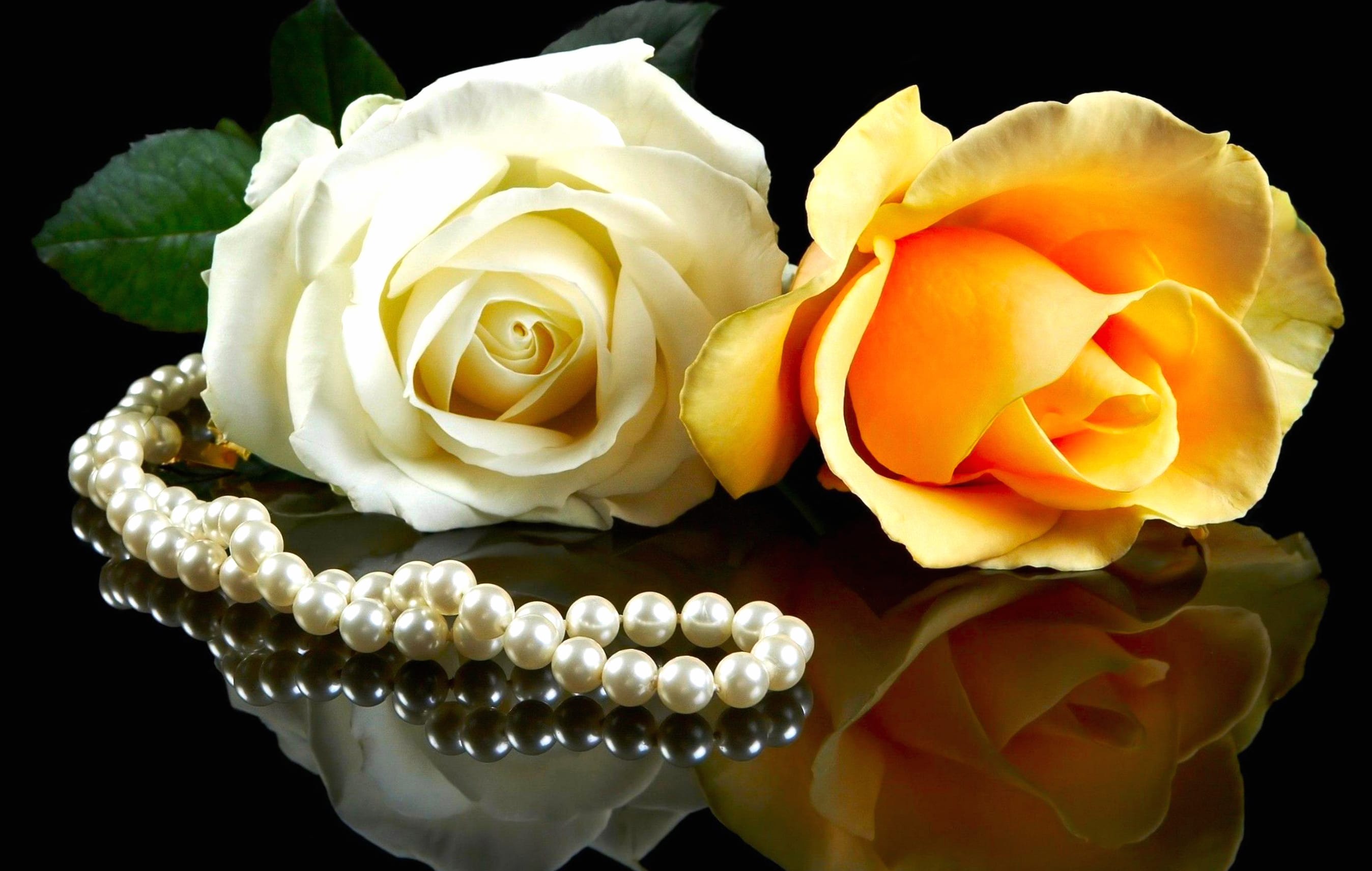 Elegant Reflection of Roses and Pearls wallpapers HD quality