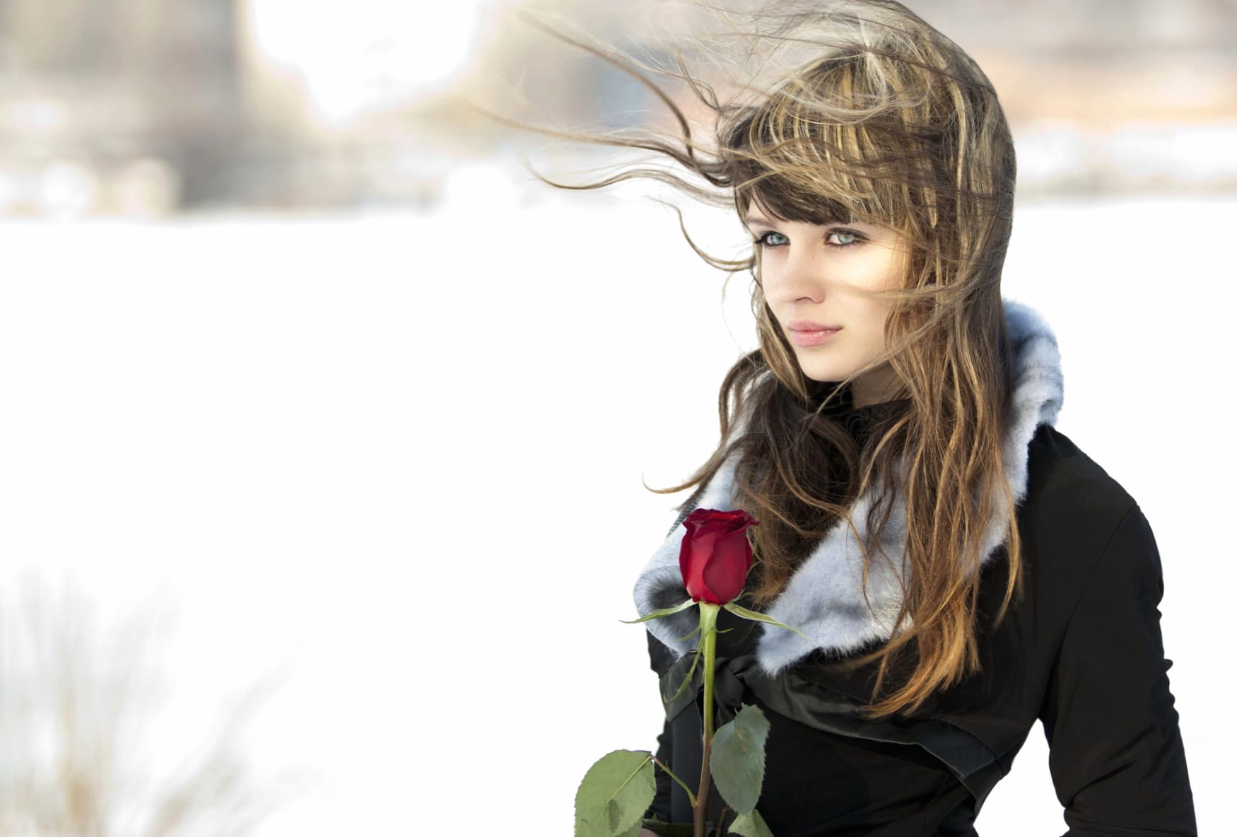 Elegant Woman with Rose - wallpapers HD quality