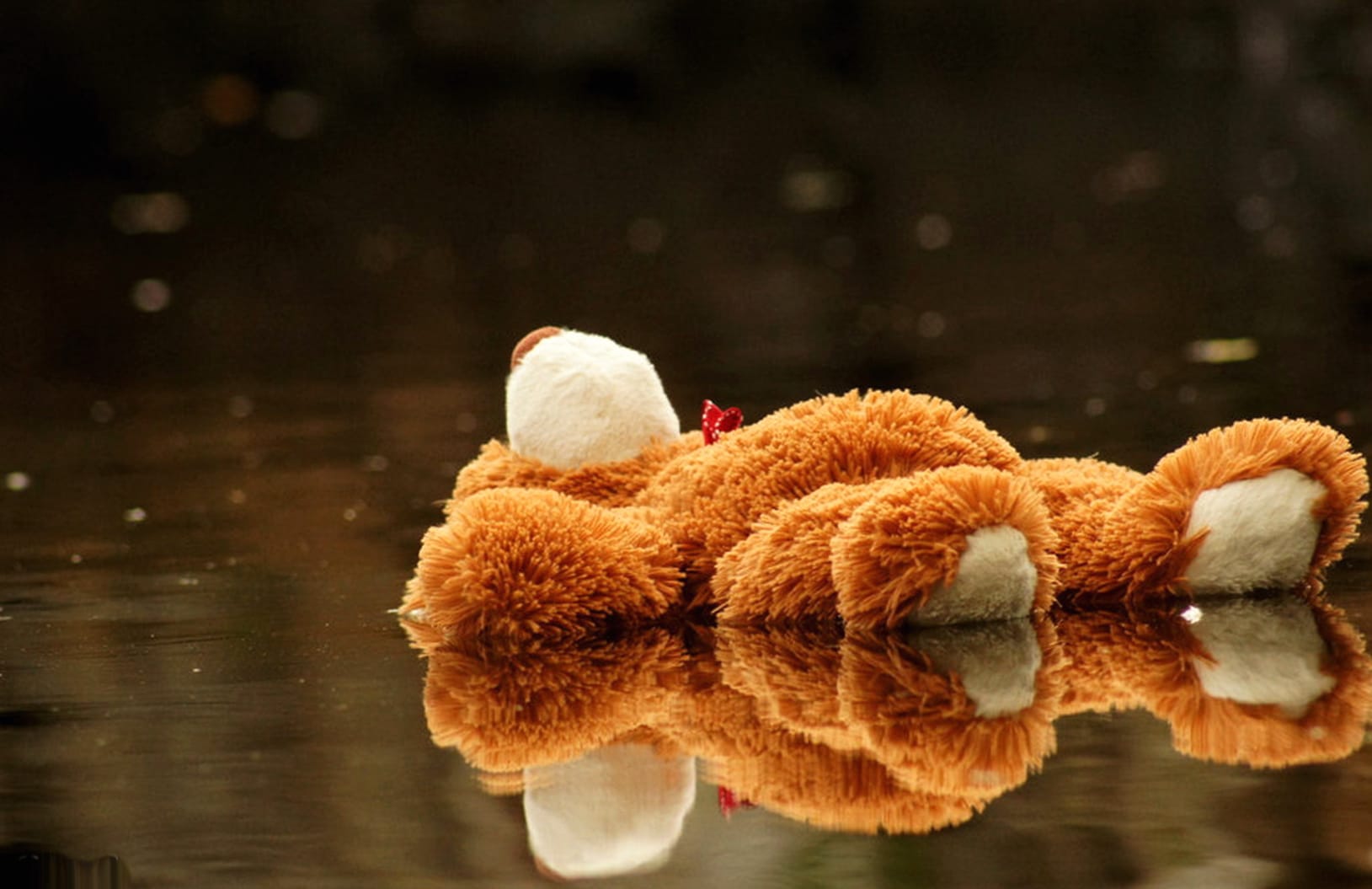 Emo Teddy Reflection - wallpapers HD quality