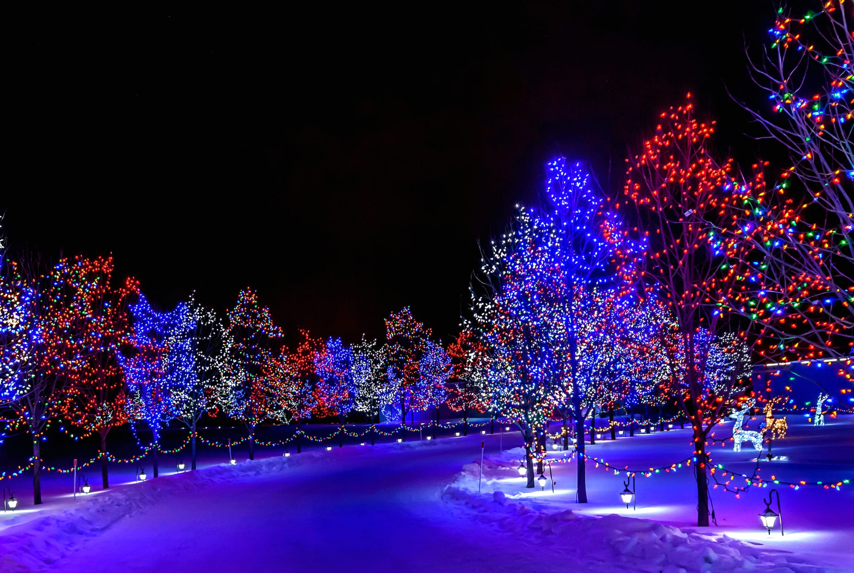 Enchanted Christmas Lights at 640 x 1136 iPhone 5 size wallpapers HD quality