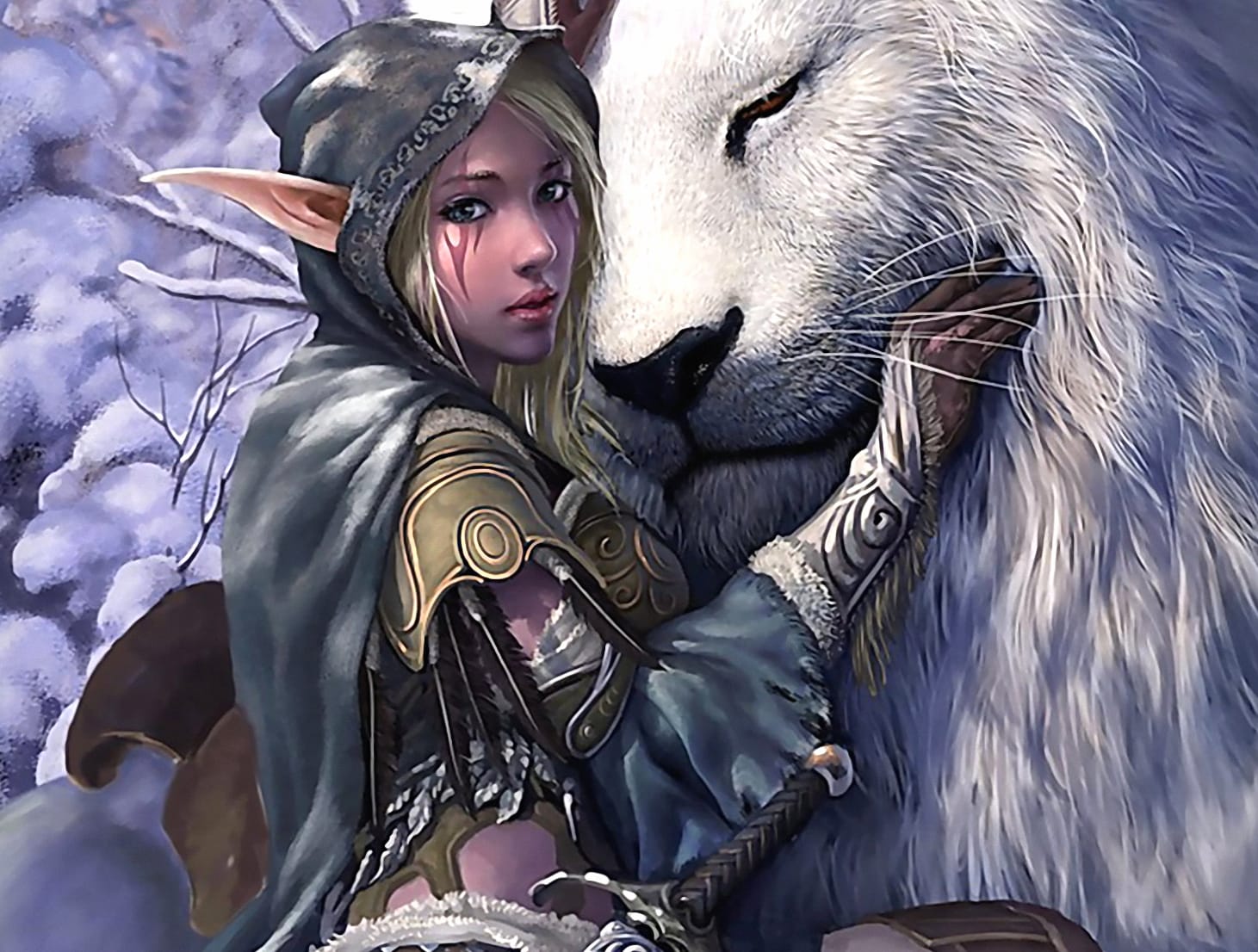 Enchanted Elf and White Wolf wallpapers HD quality