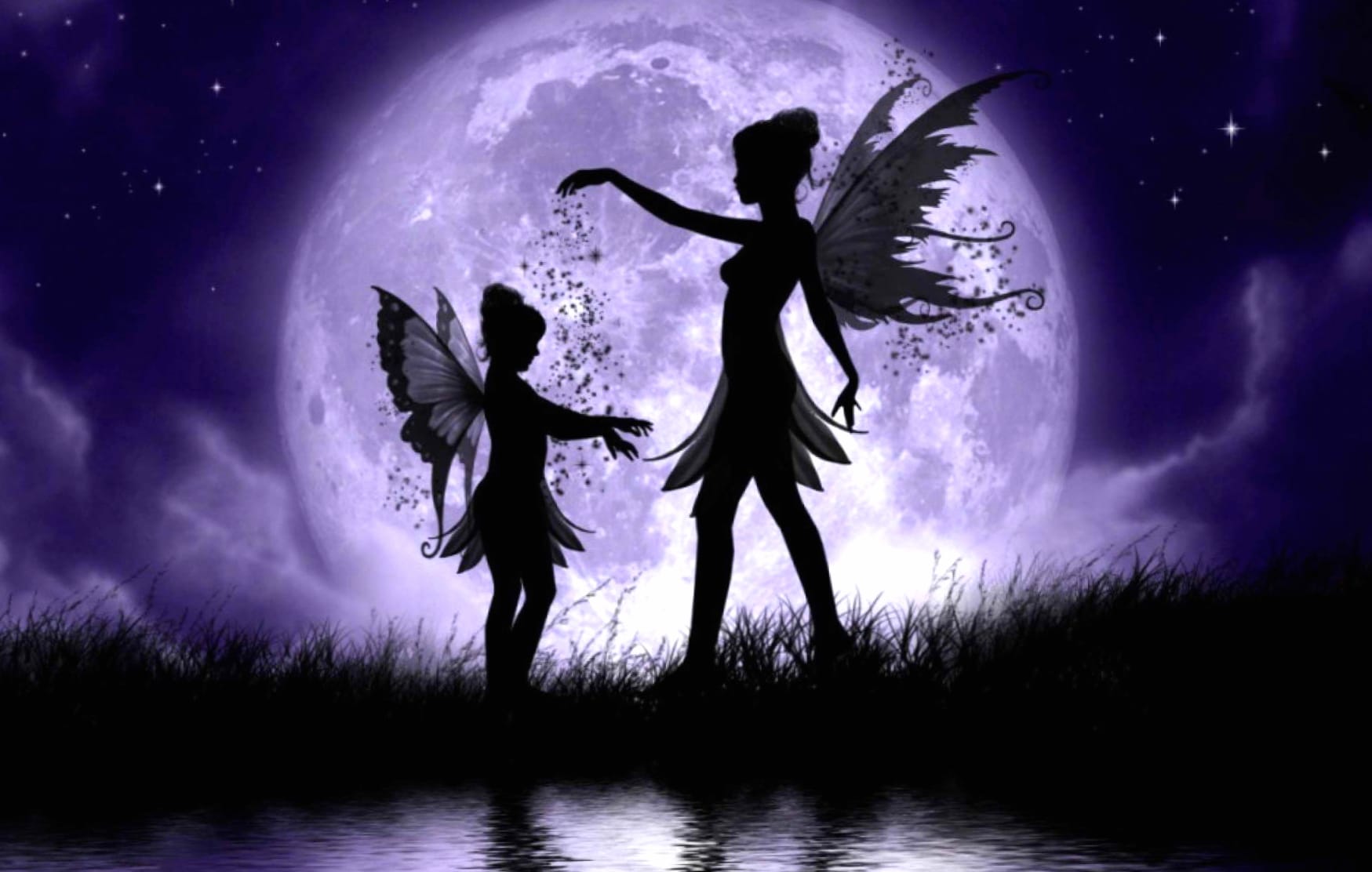 Enchanted Fairy Moonlight - wallpapers HD quality