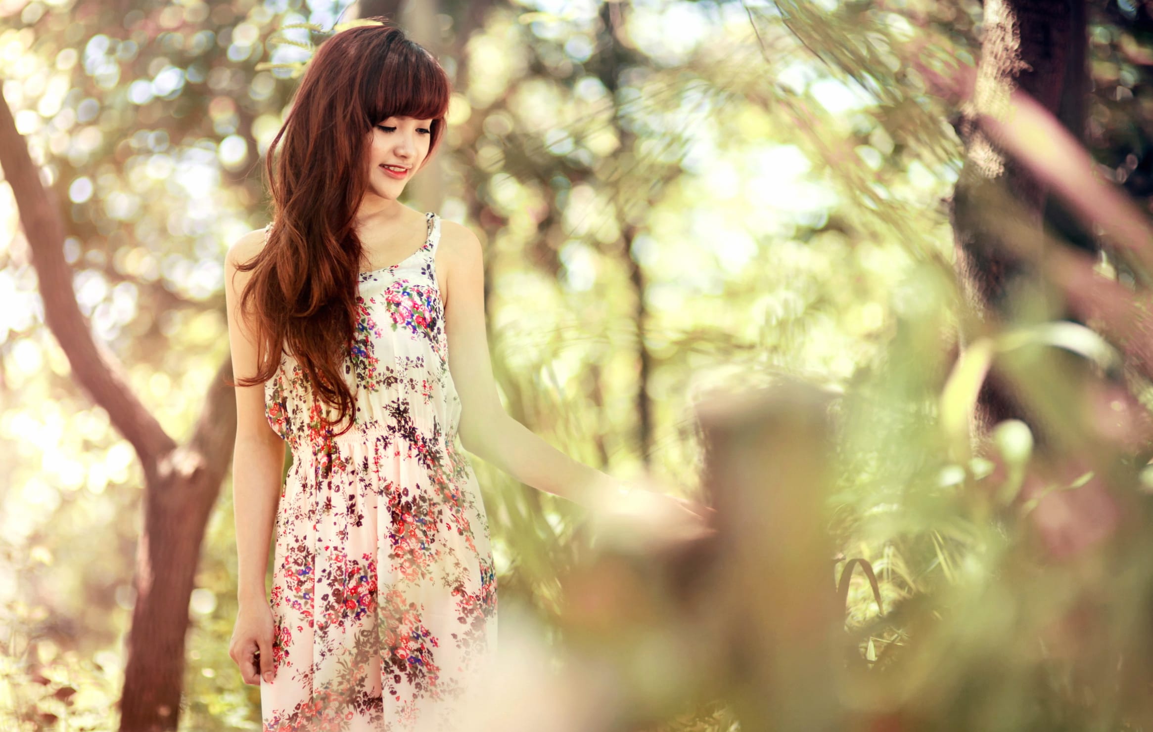 Enchanted Forest - Featuring Asian Woman wallpapers HD quality