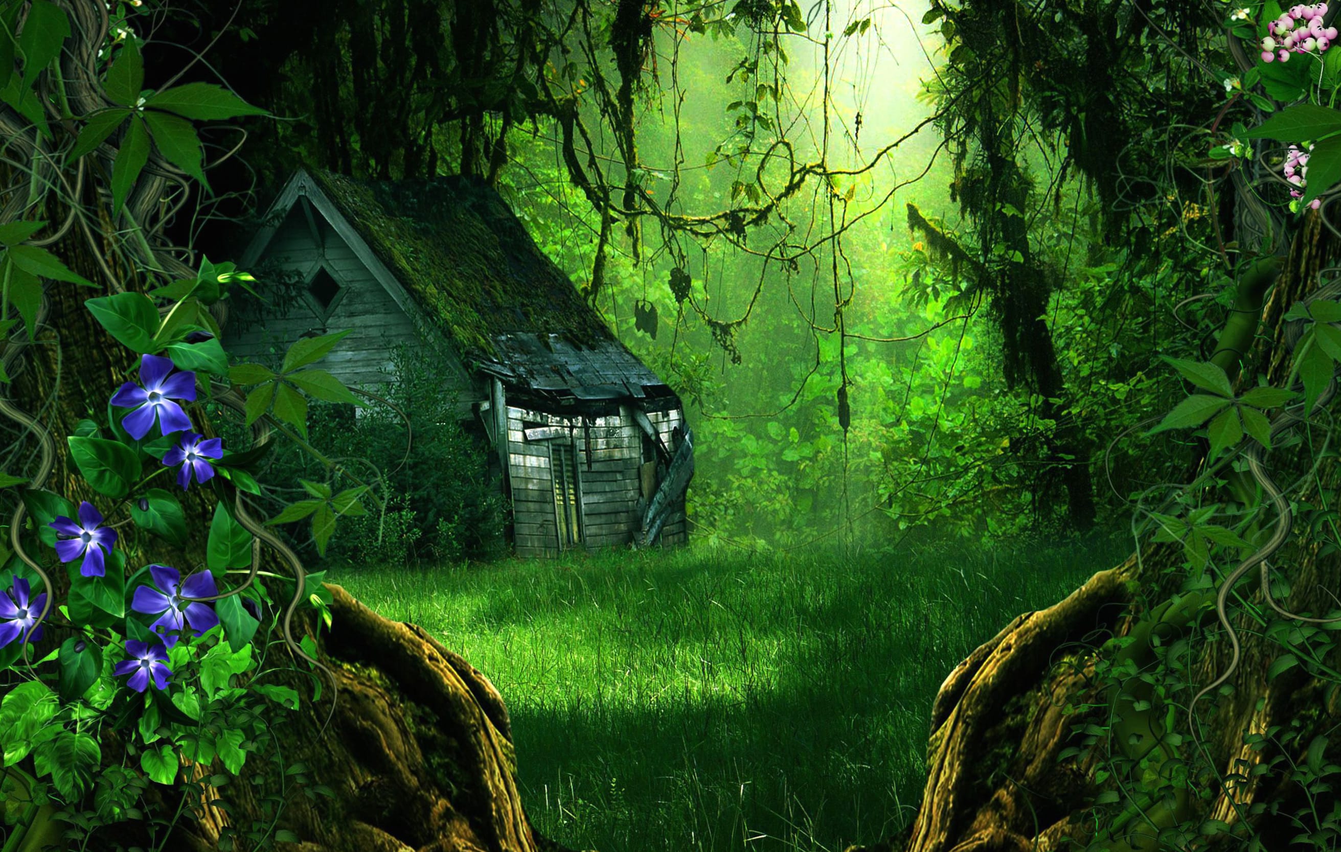 Enchanted Forest House wallpapers HD quality