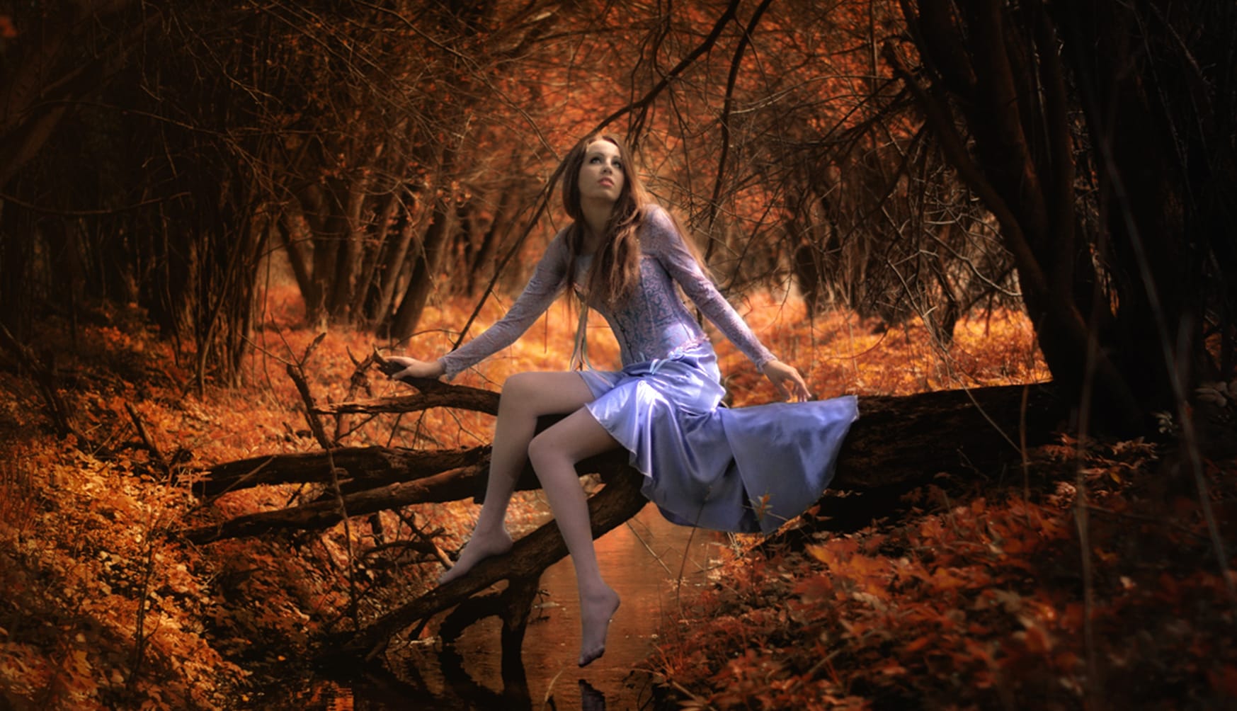 Enchanted Forest Woman - wallpapers HD quality