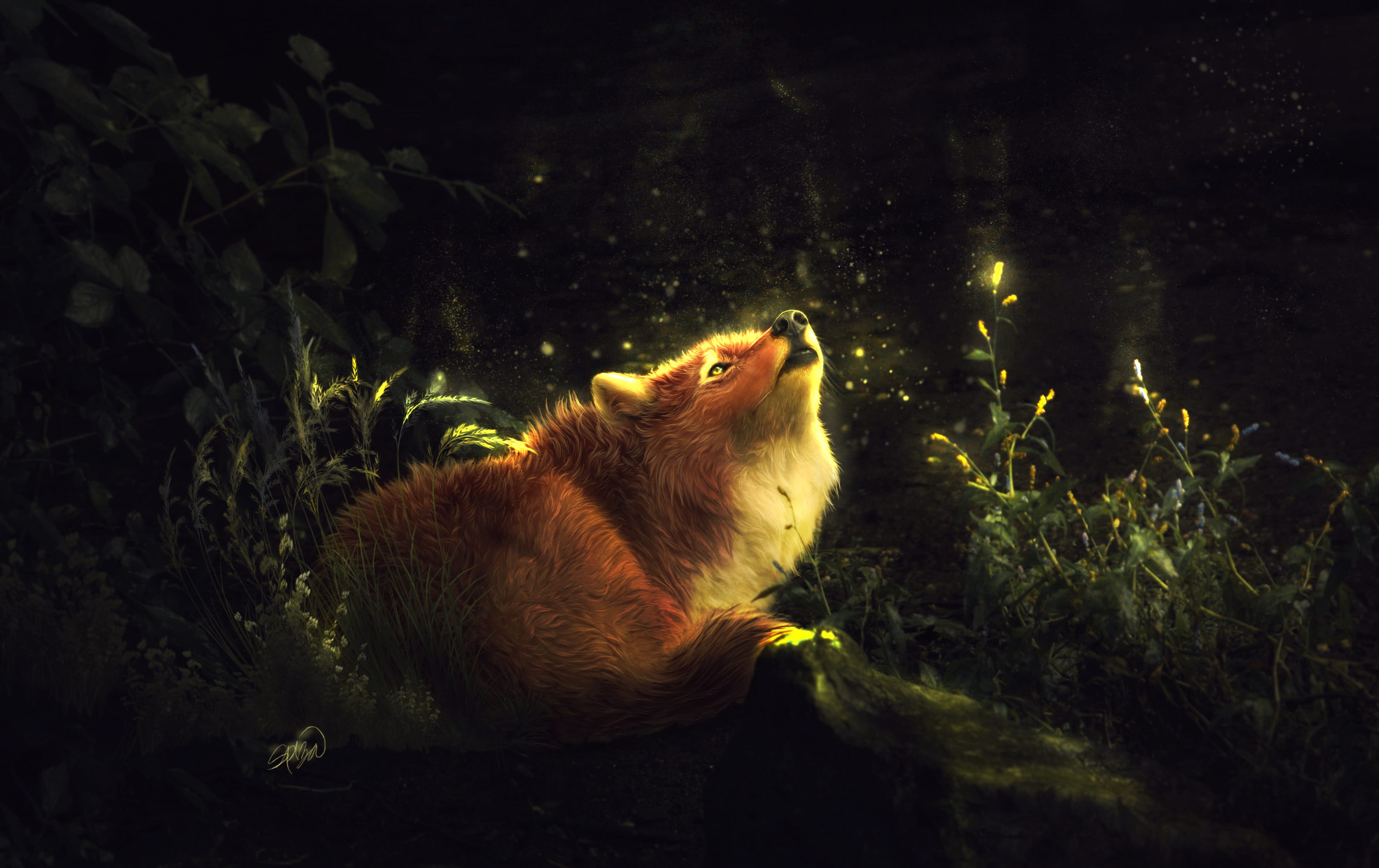 Enchanted Fox - HD Fantasy Wallpaper wallpapers HD quality