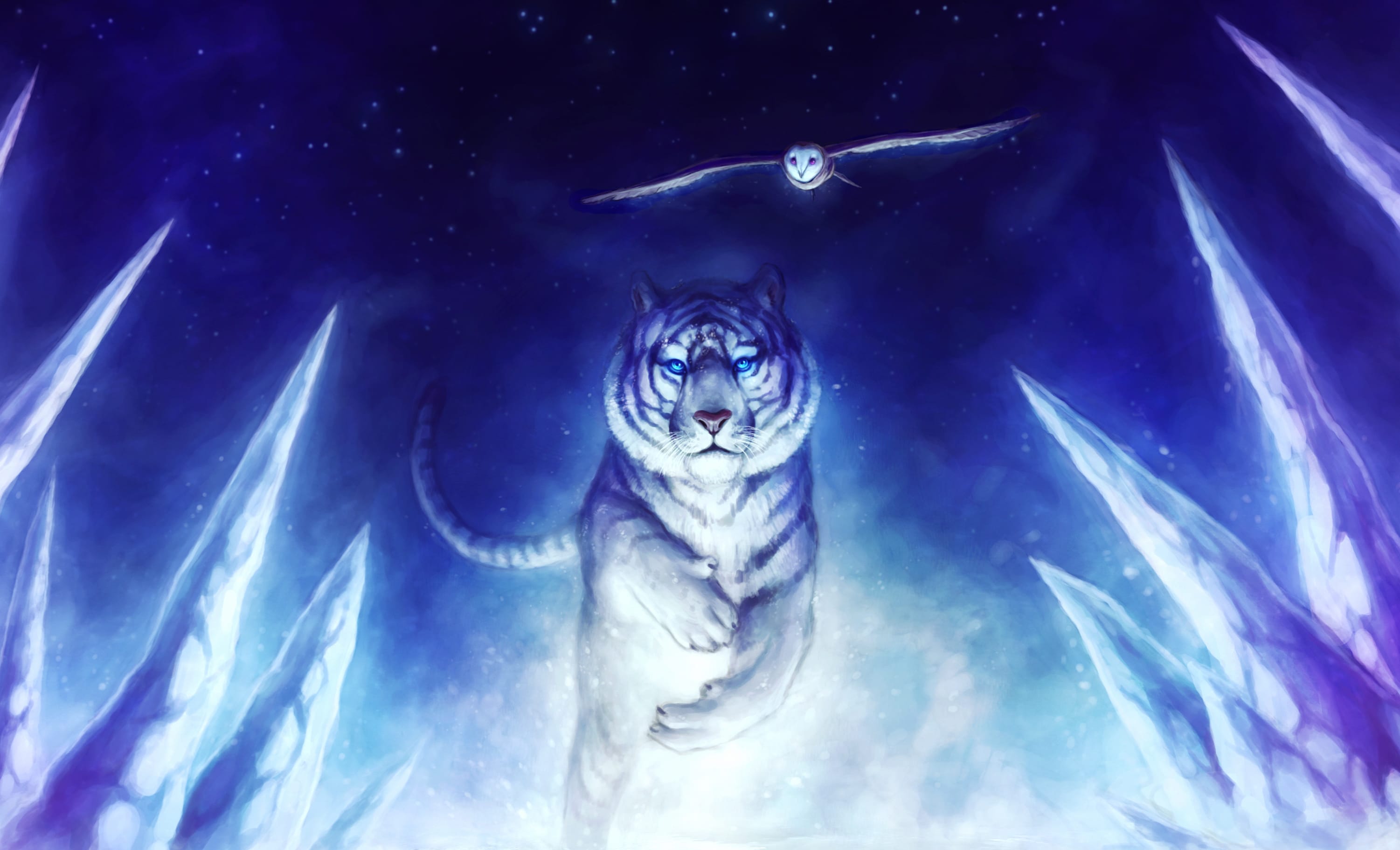 Enchanted Frost Tiger - at 1366 x 768 HD size wallpapers HD quality