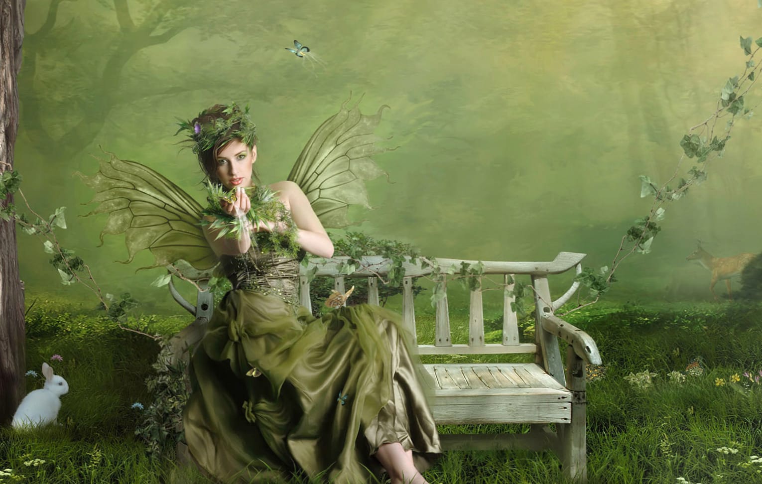 Enchanted Green Fairy wallpapers HD quality