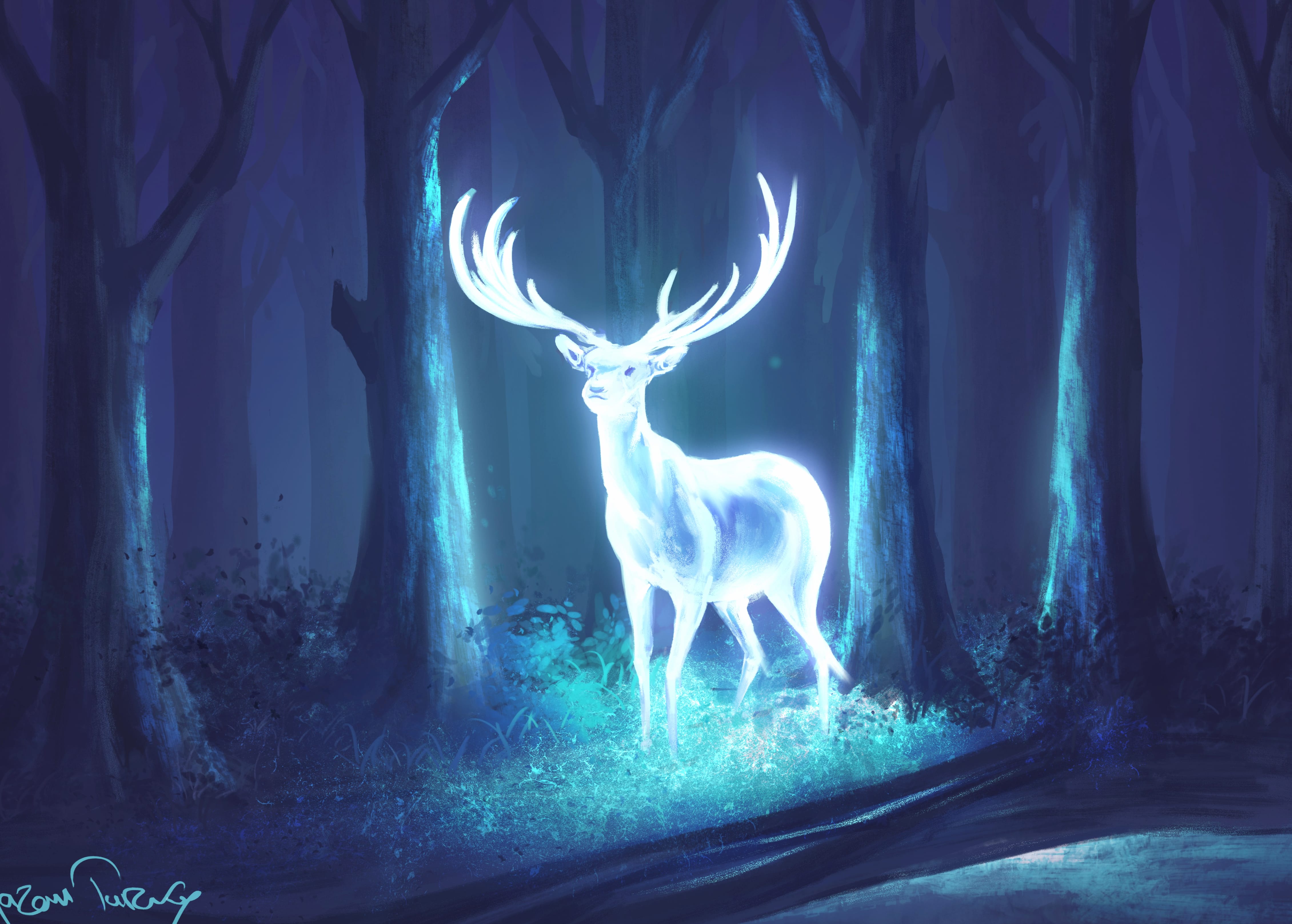 Enchanted Night Forest Deer - wallpapers HD quality